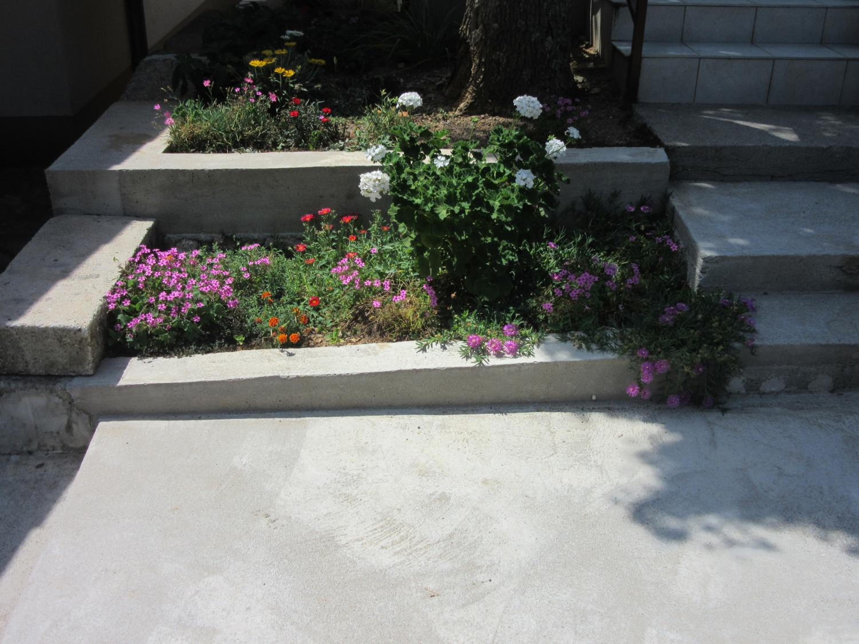 Apartment - Ground Floor - Photo 17