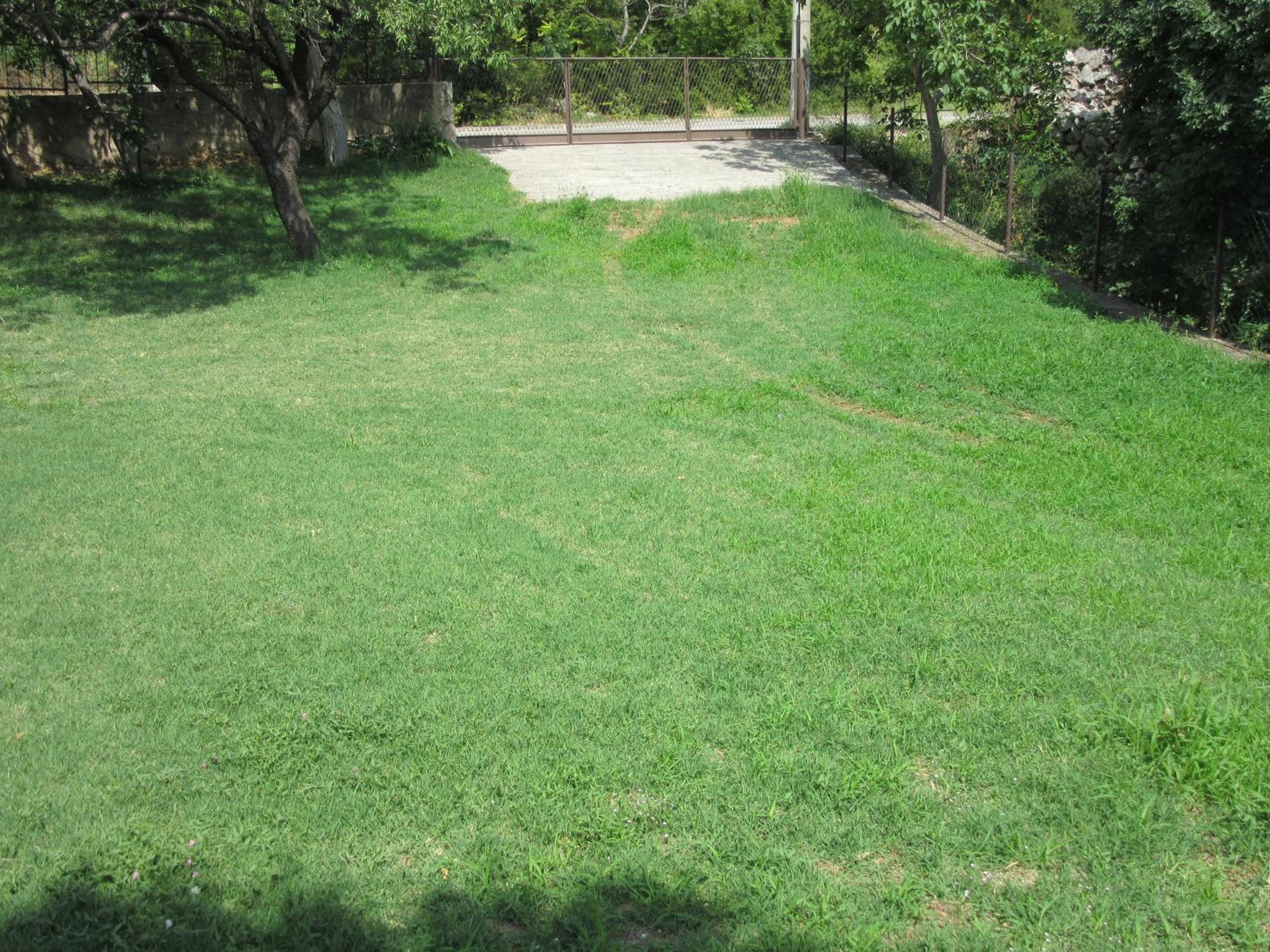 Apartment - Ground Floor - Photo 16
