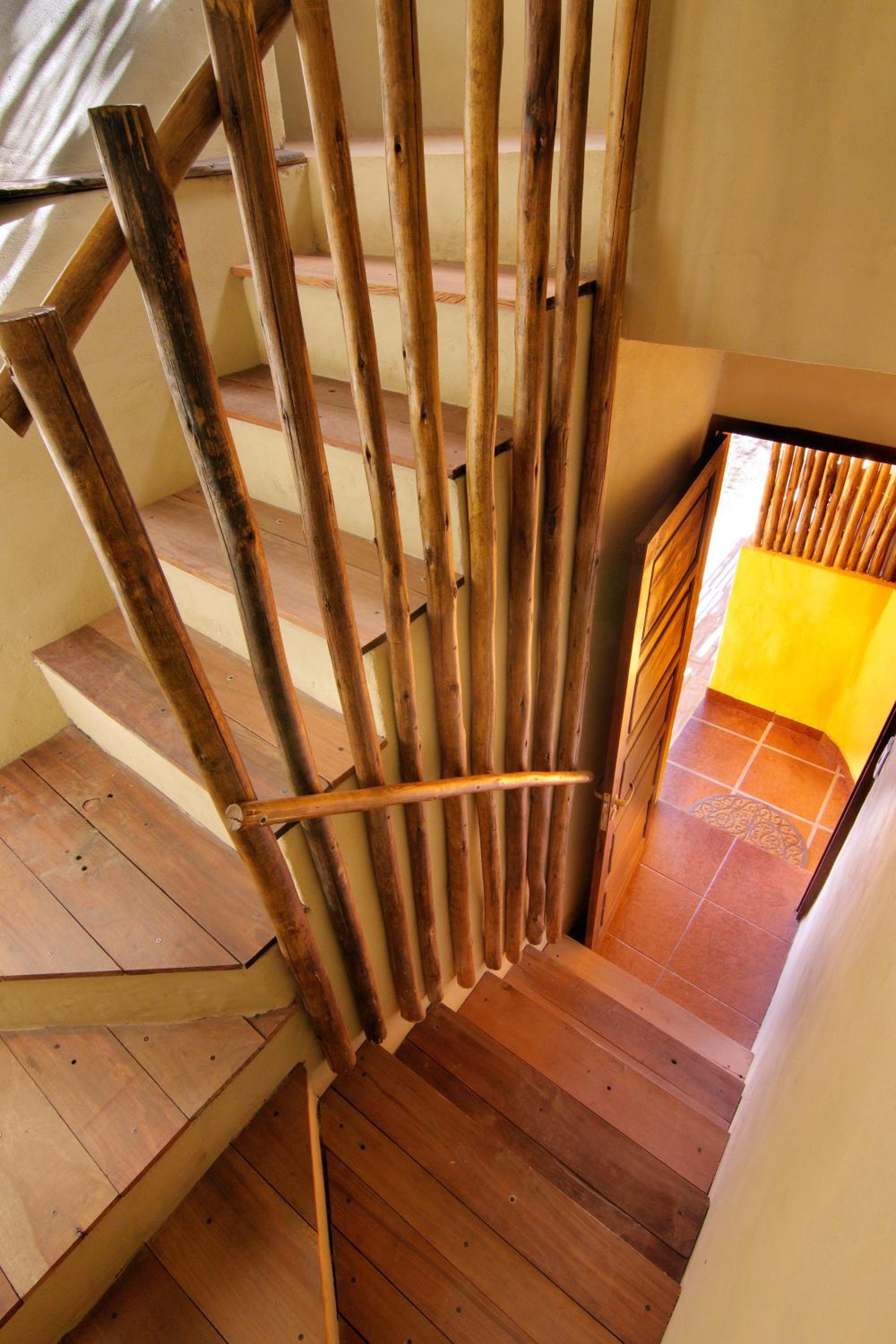 Apartment with Terrace photo 3