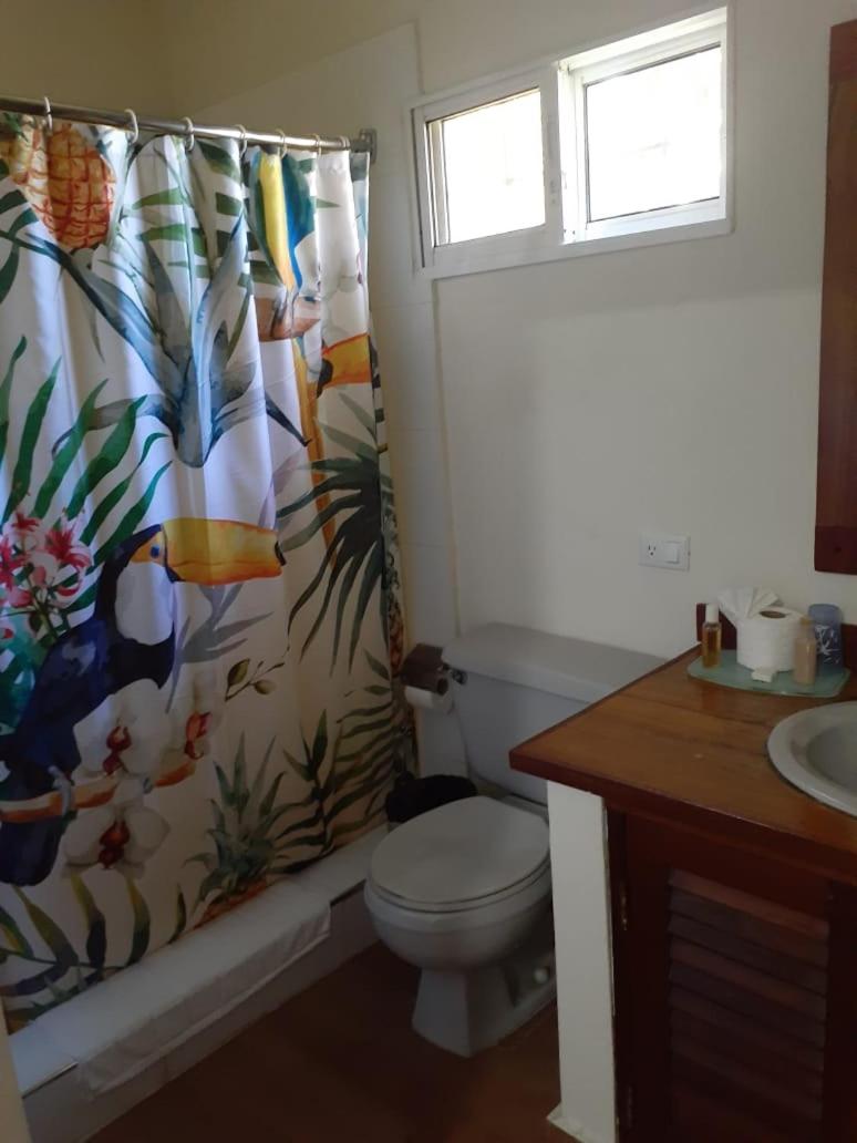 Basic Triple Room