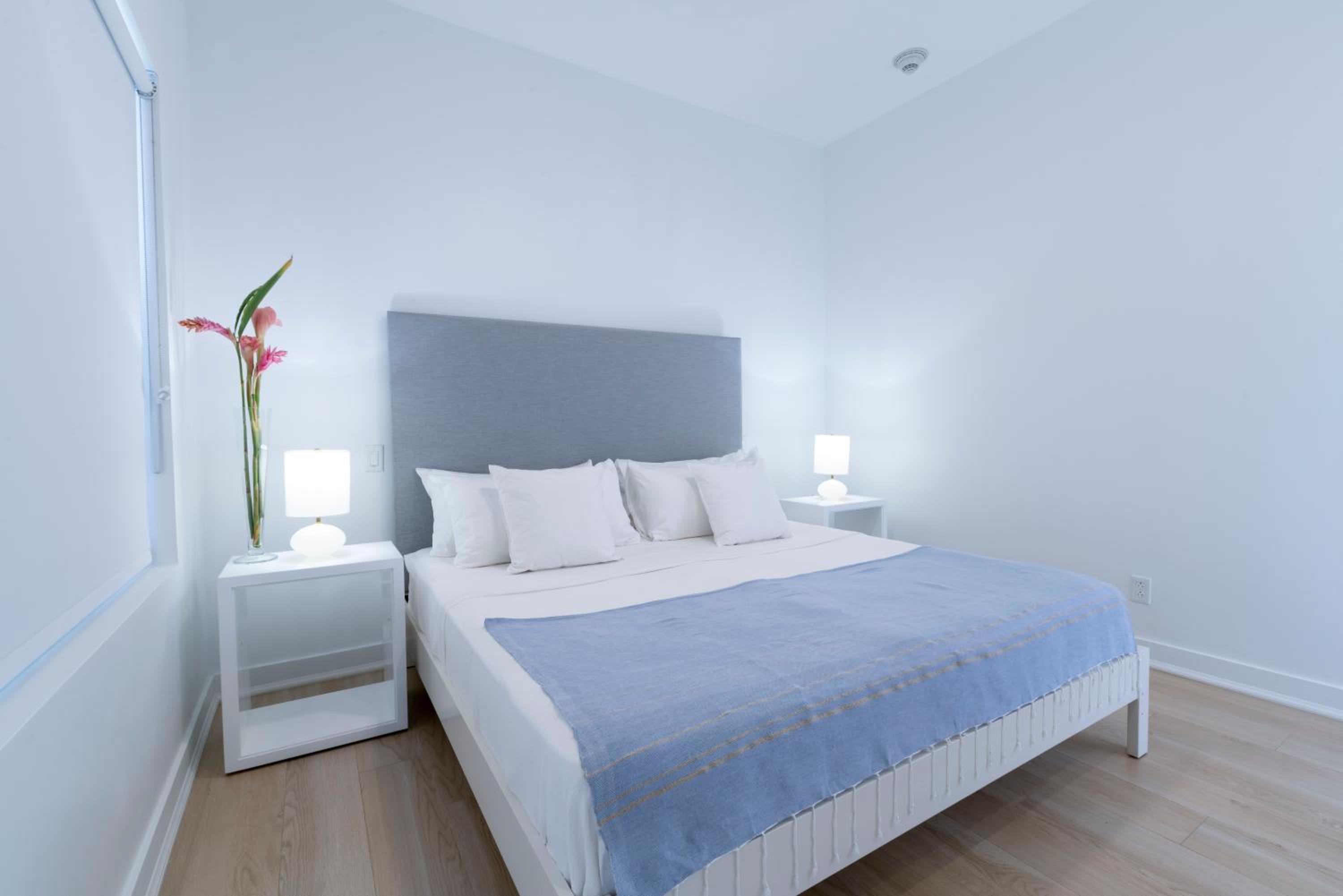 One Bed Suite