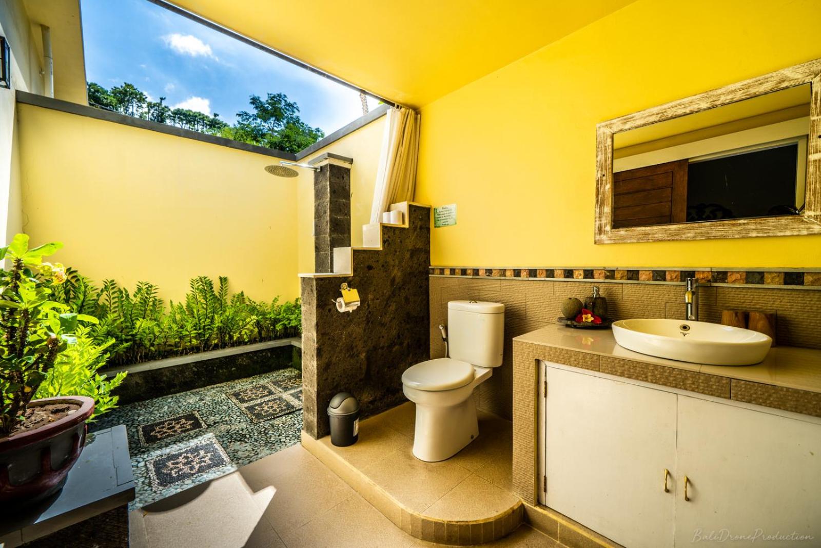 Deluxe Triple Room photo 3