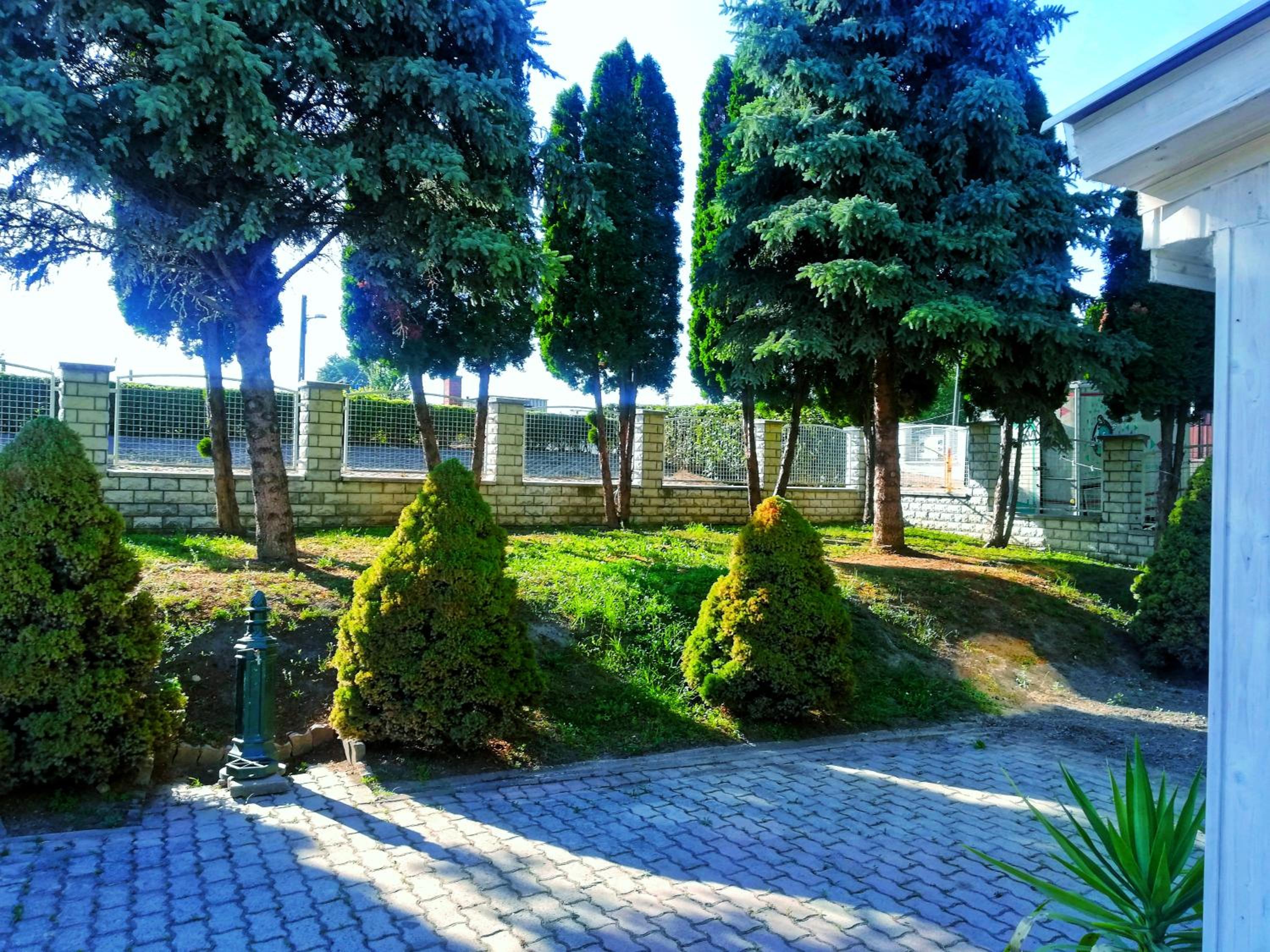 Apartment with Terrace photo 3