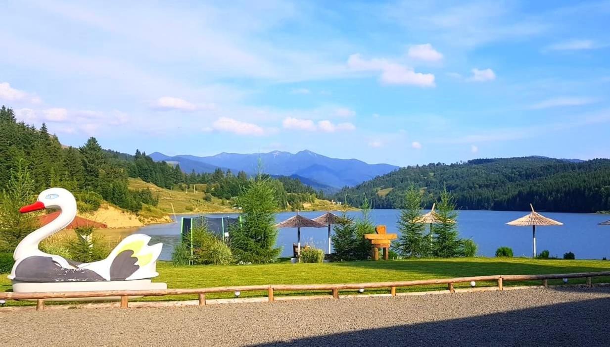 Apartment with Lake View photo 3
