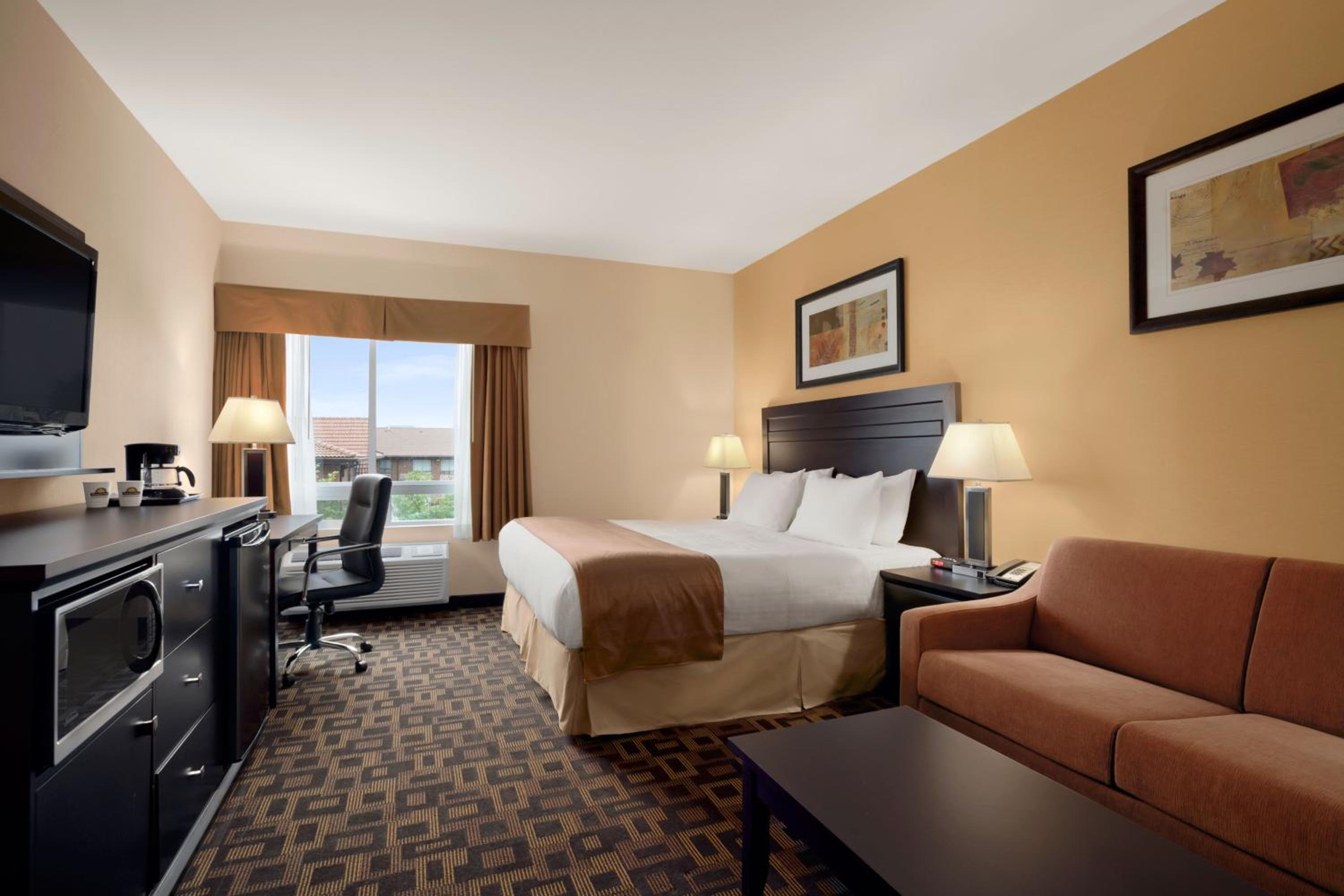 King Room photo 1