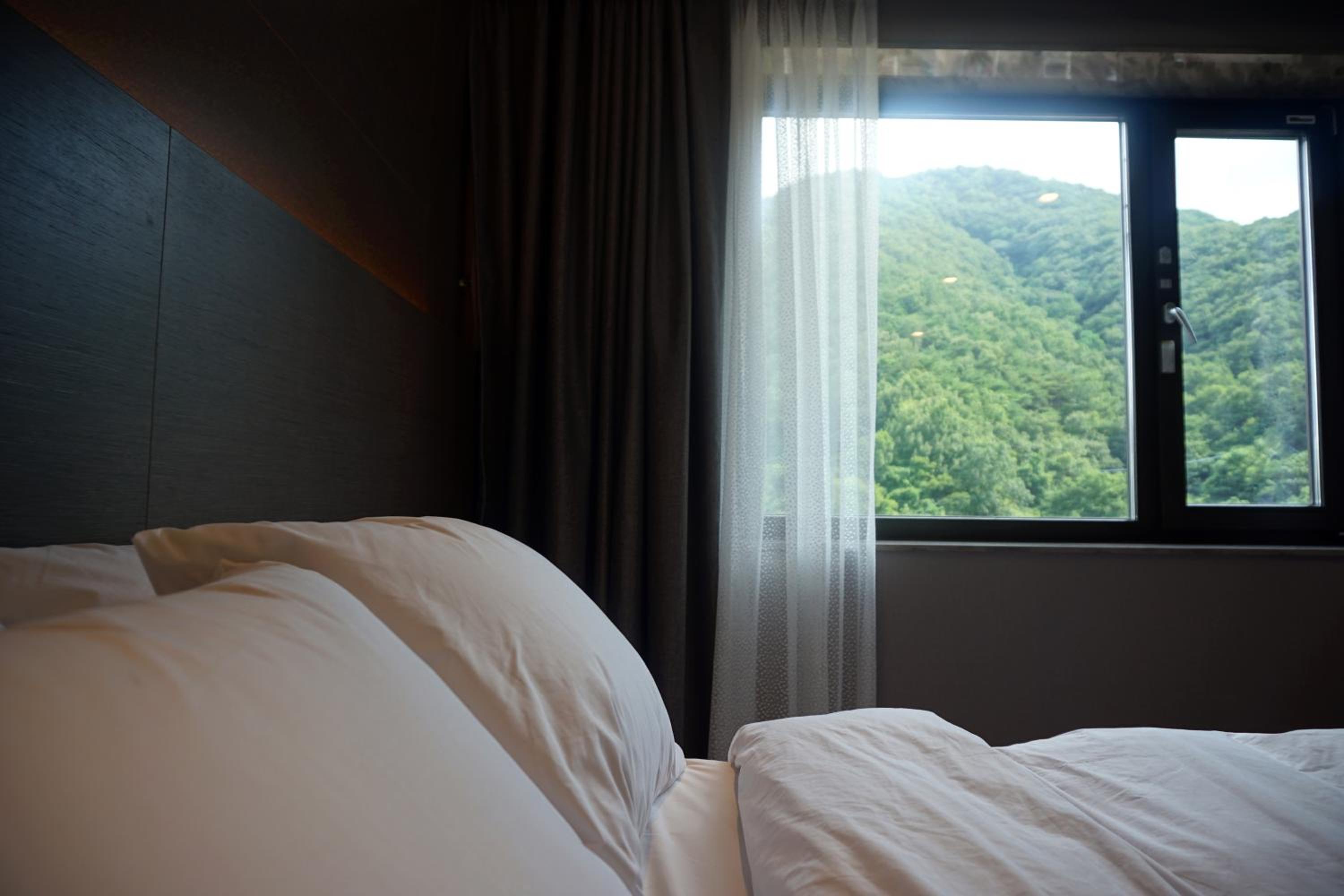 Standard Twin Room with Mountain View photo 3