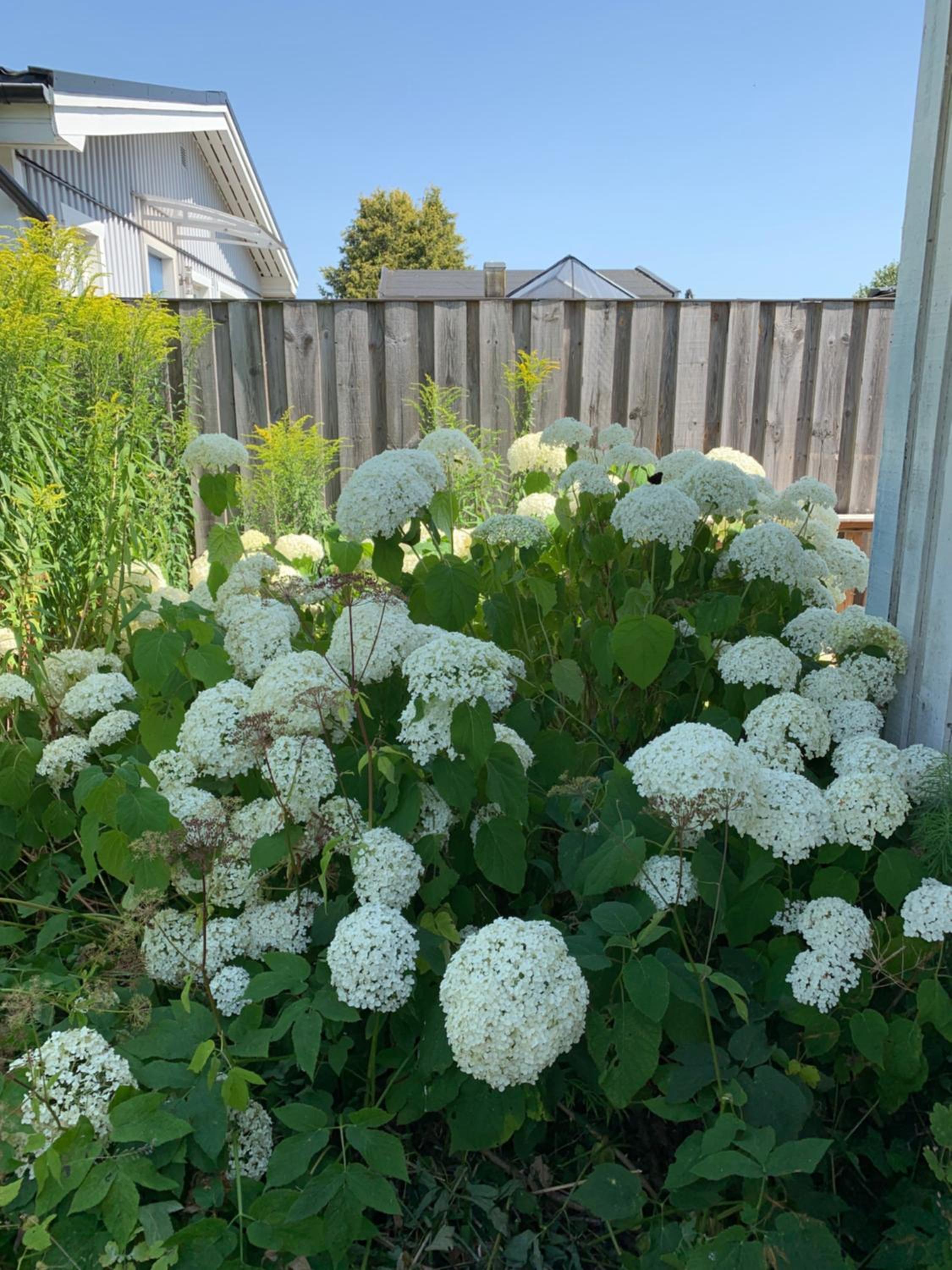 Vacation Home - Photo 10