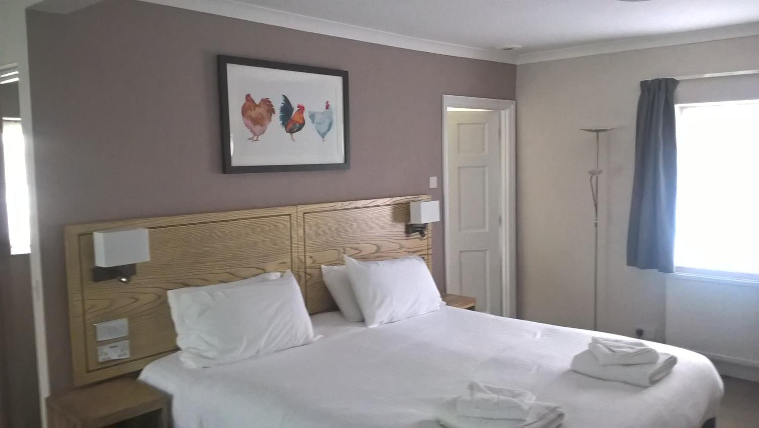 Standard Double Room - Photo 1