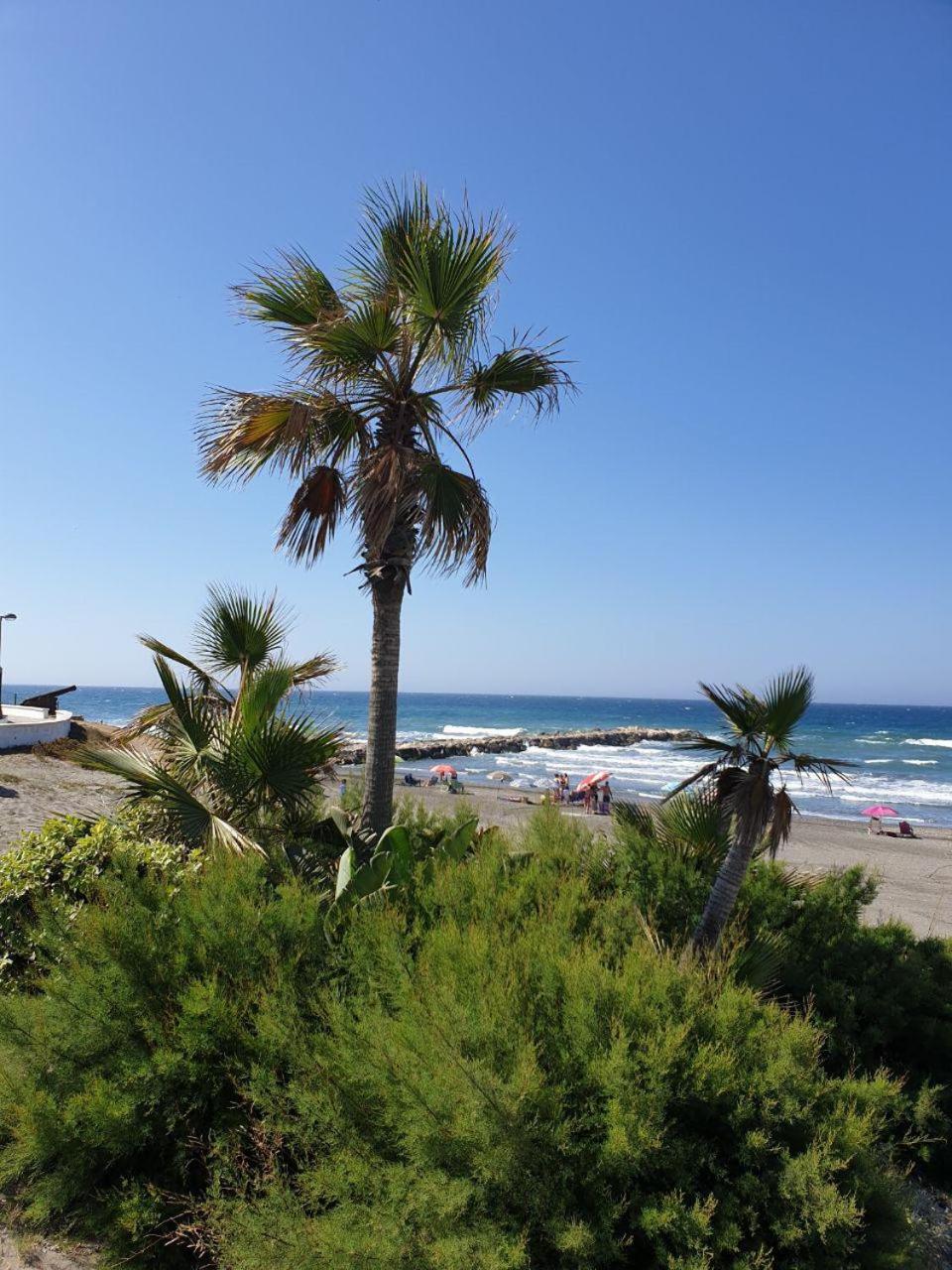 Apartment with Sea View photo 3