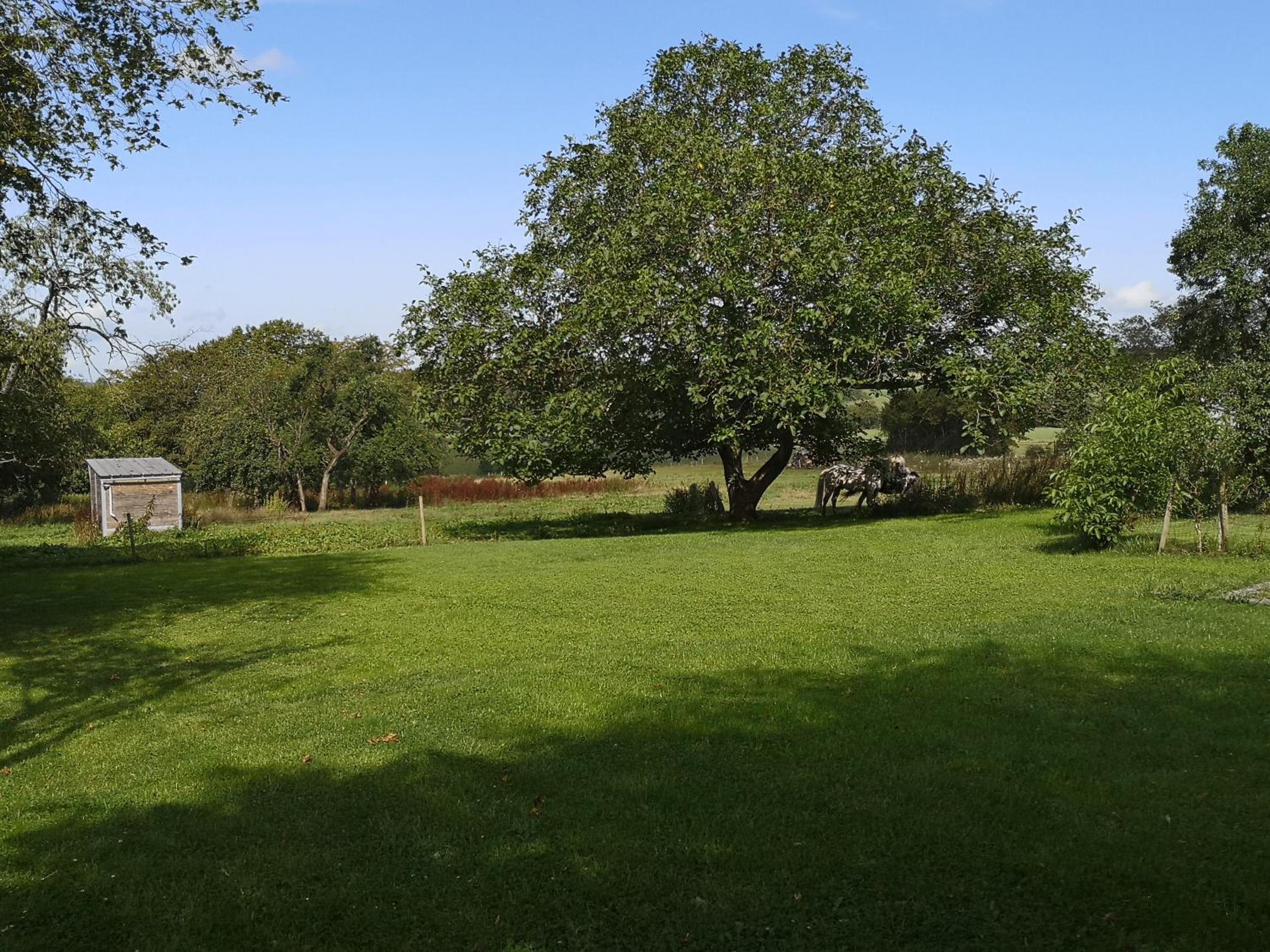 Vacation Home photo 2