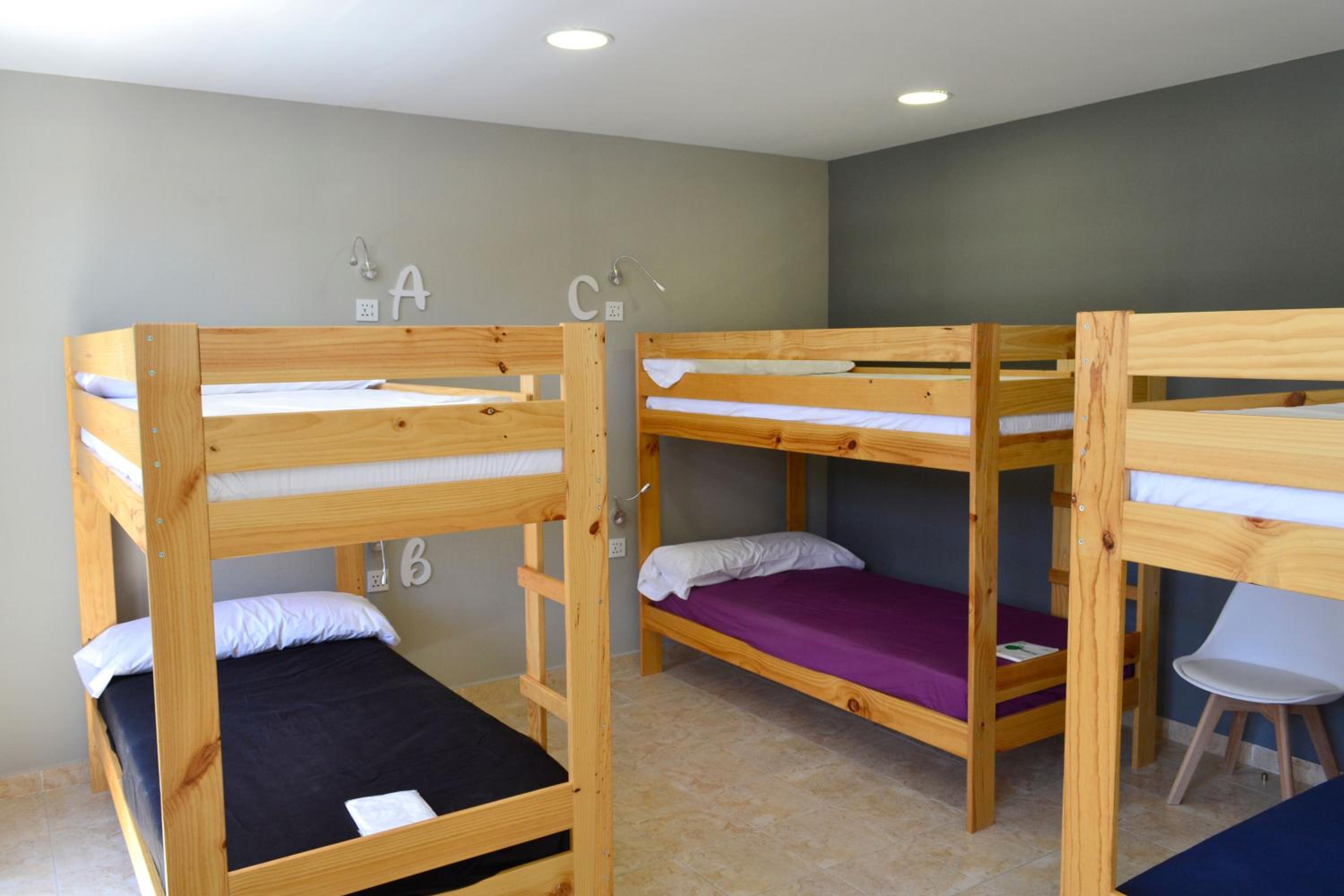 Bunk Bed in 12-Mixed Dormitory Room photo 2