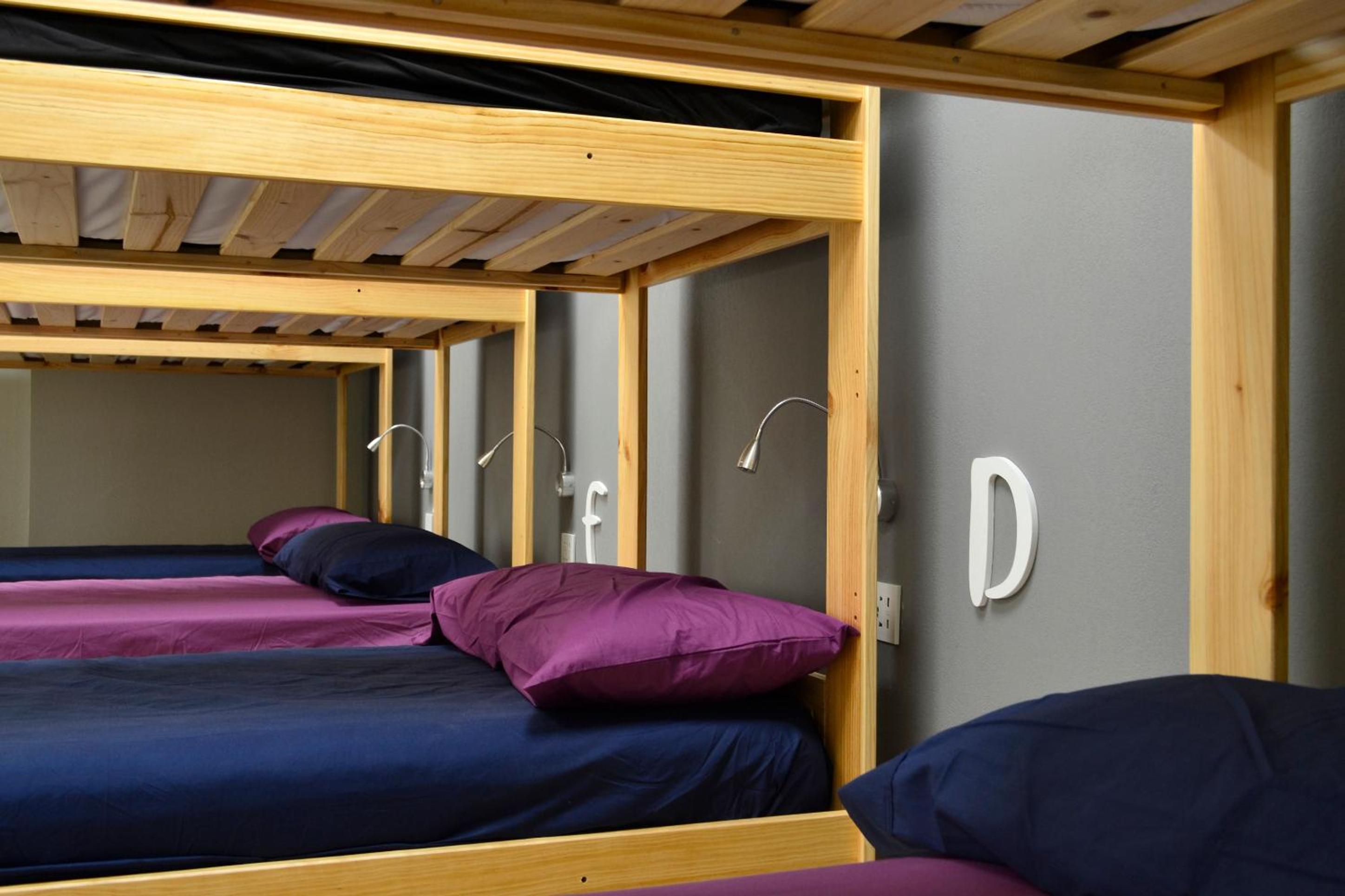 Bunk Bed in 8-Mixed Dormitory Room photo 3