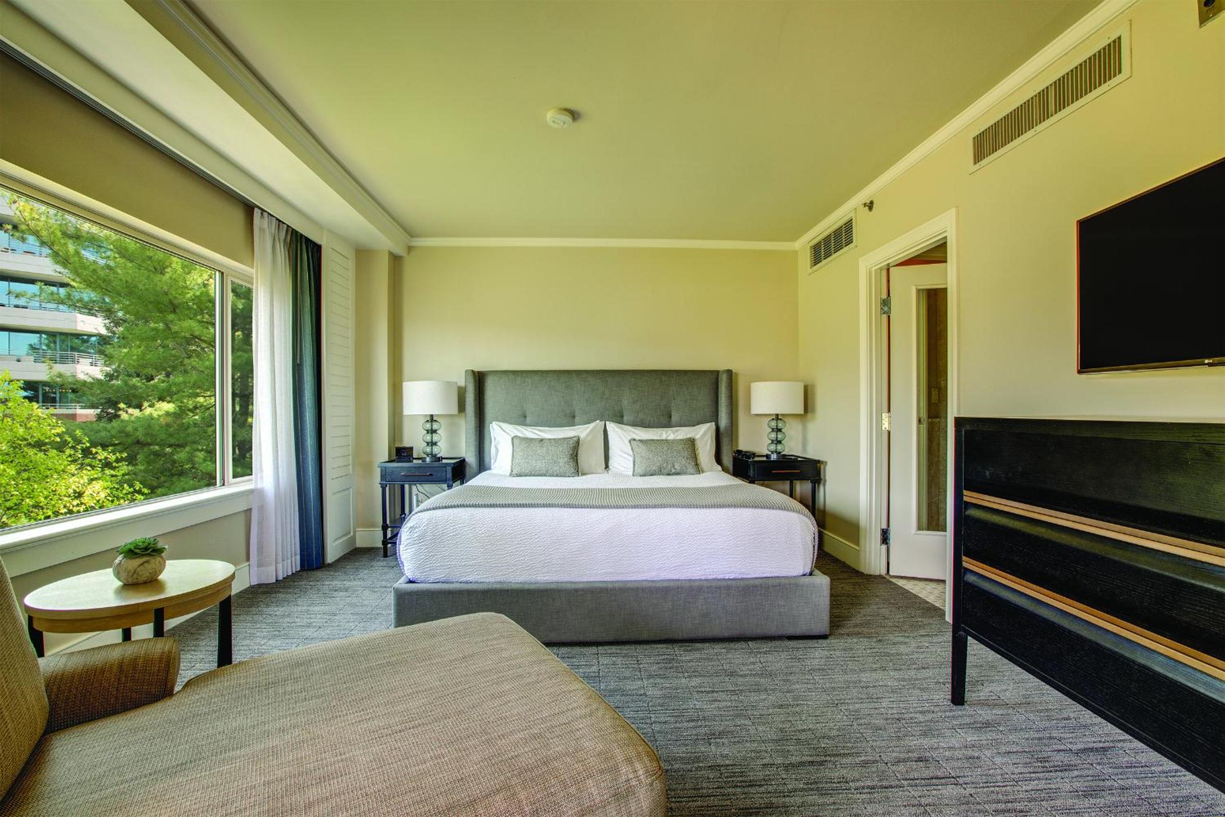 Deluxe Suite photo 3