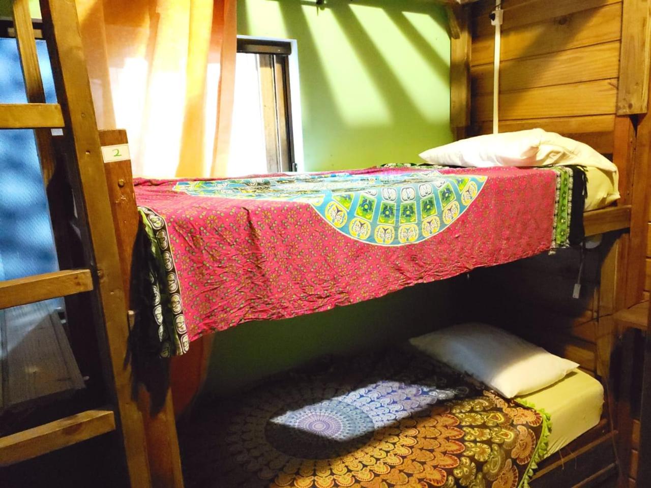 Bunk Bed in Mixed Dormitory Room photo 2