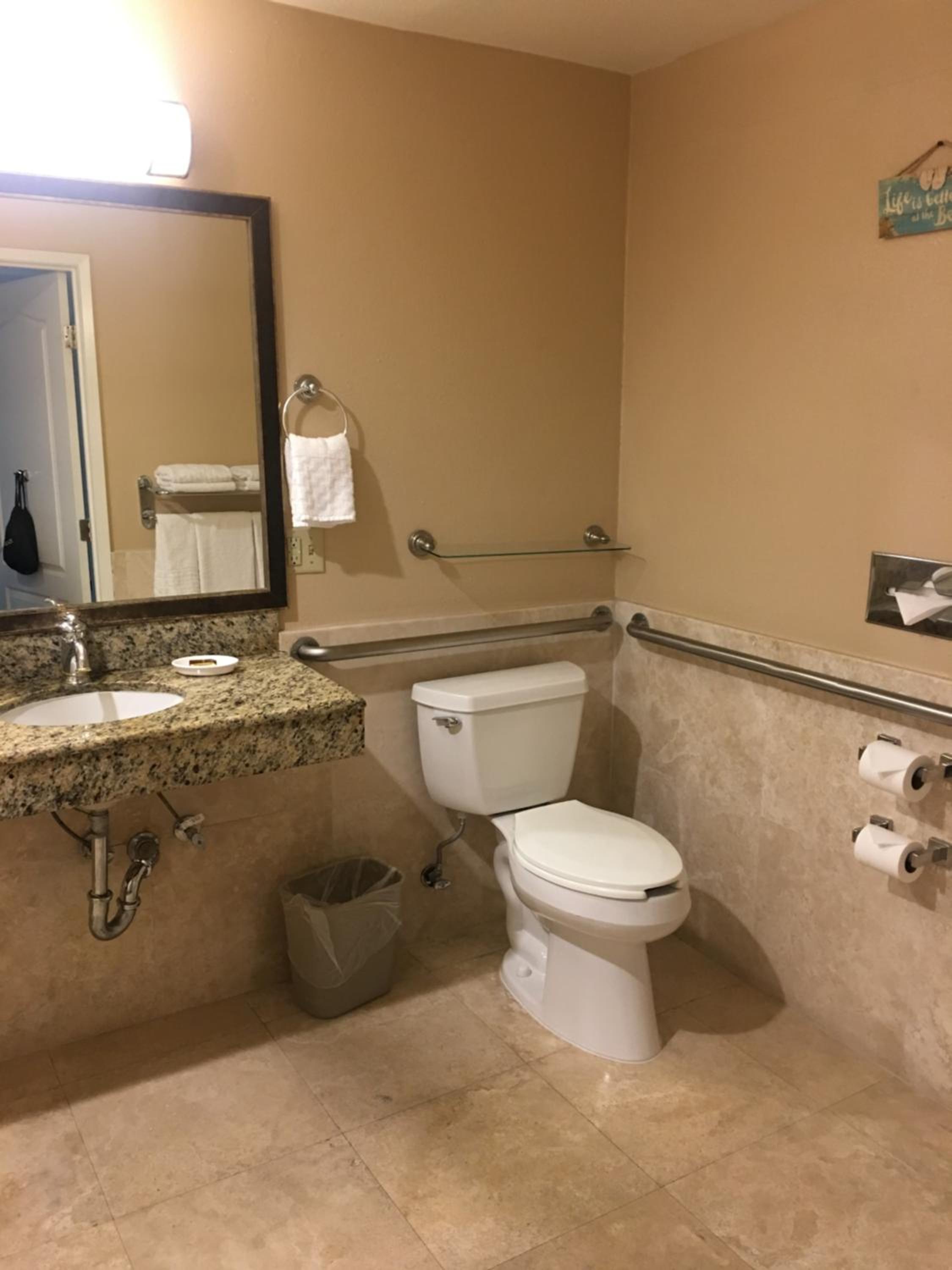 Large King Room with Roll-In Shower and View - Disability Access/Non-Smoking - Photo 7