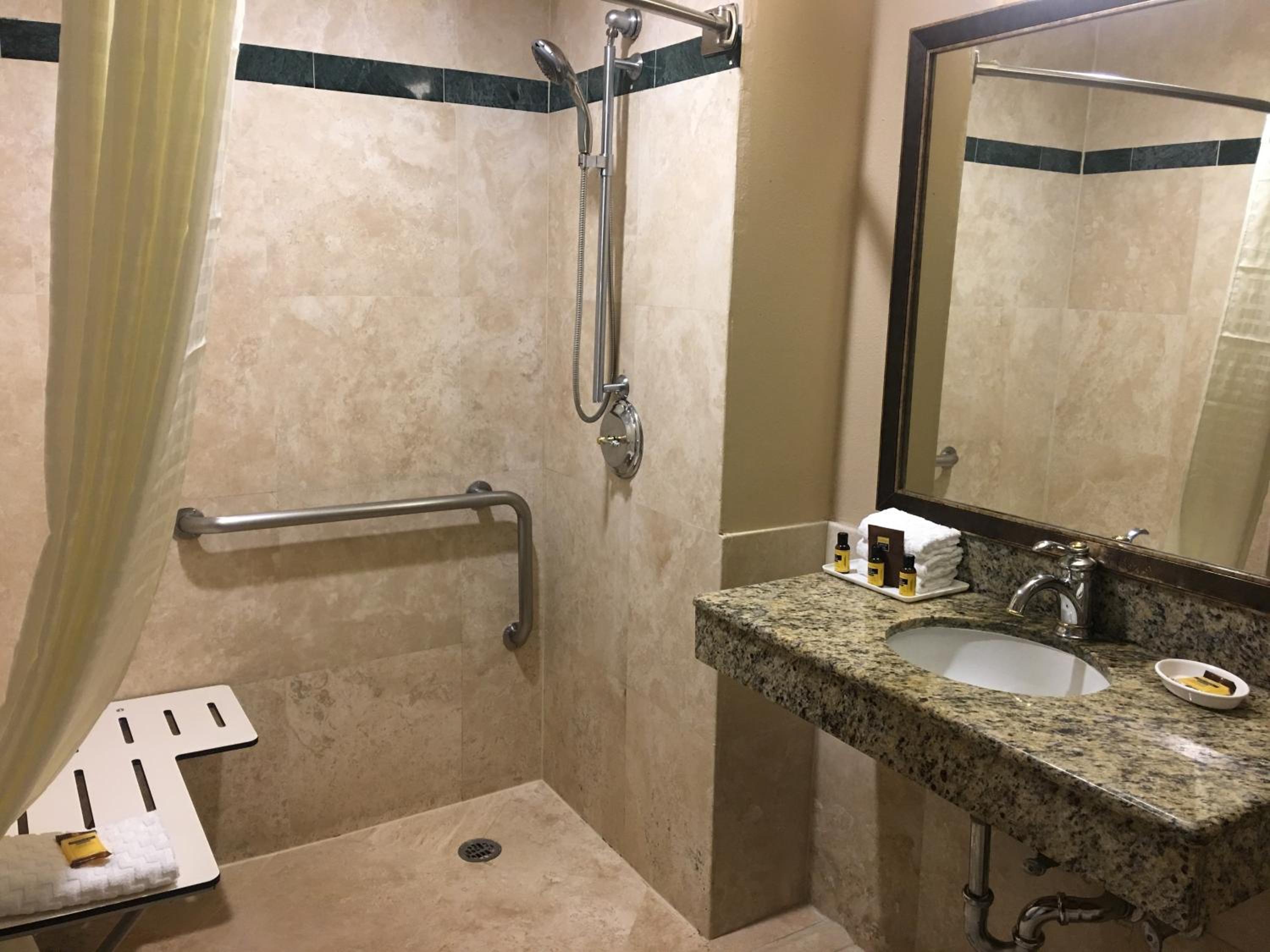 Large King Room with Roll-In Shower and View - Disability Access/Non-Smoking - Photo 6