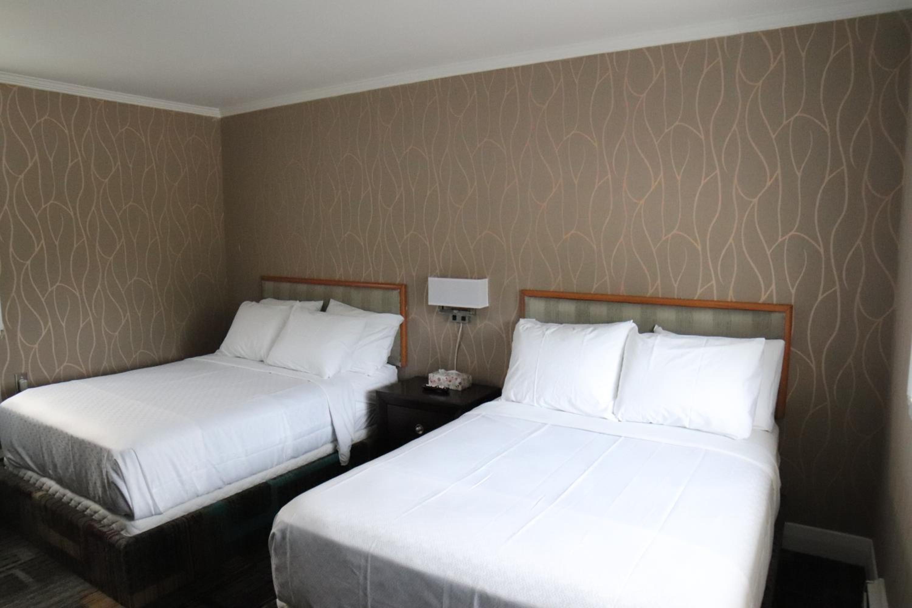 Double Room with Two Double Beds