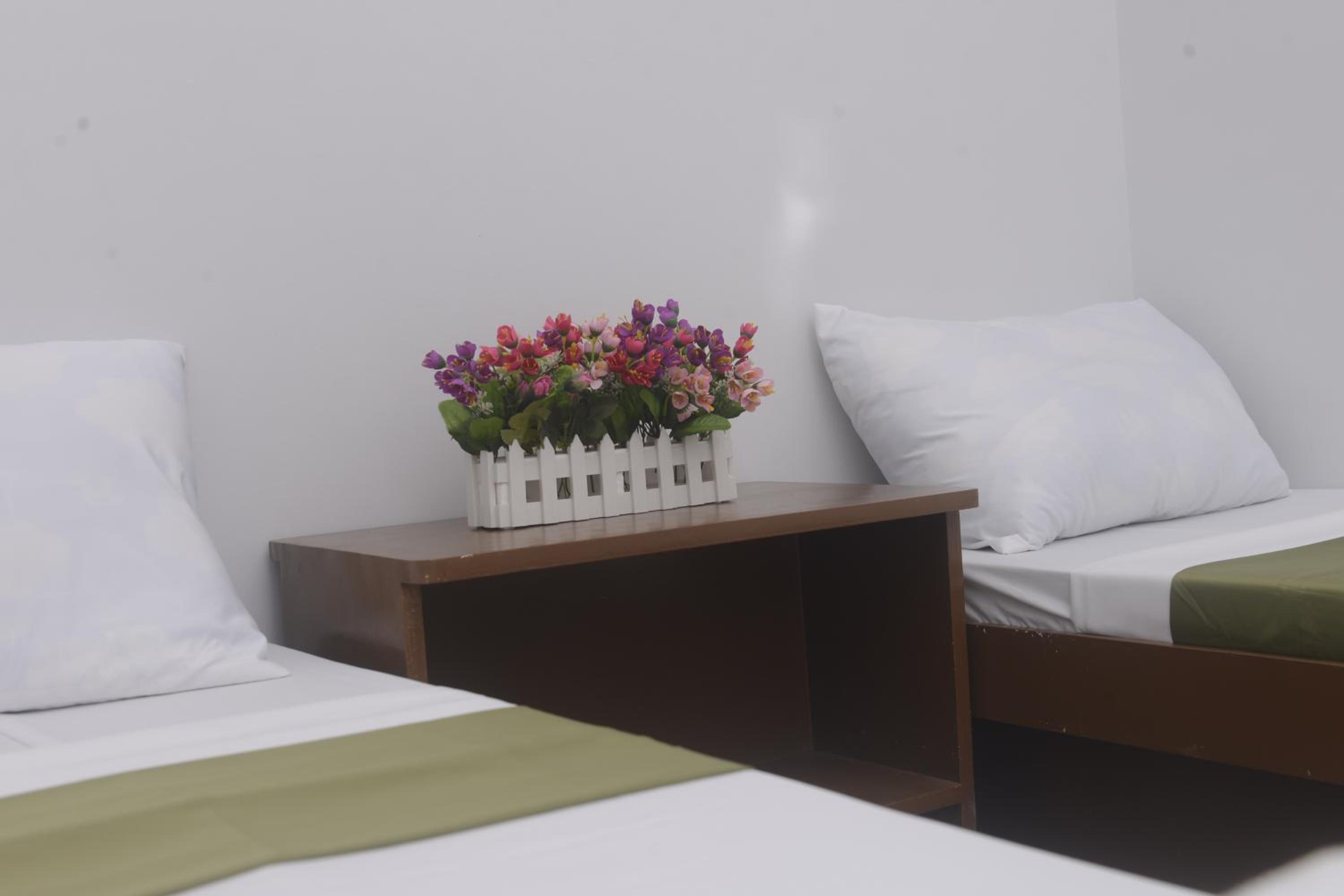 Standard Twin Room with Shared Bathroom photo 1