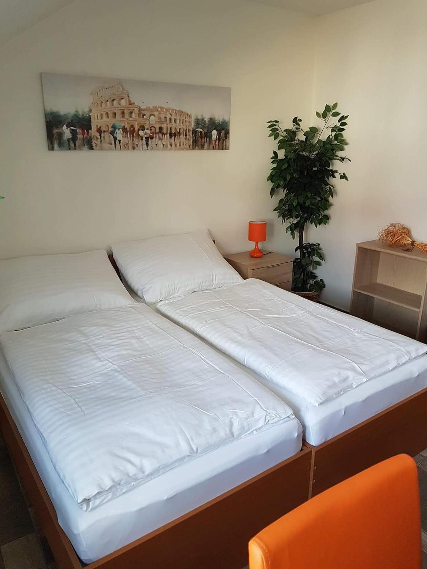 Double or Twin Room photo 3
