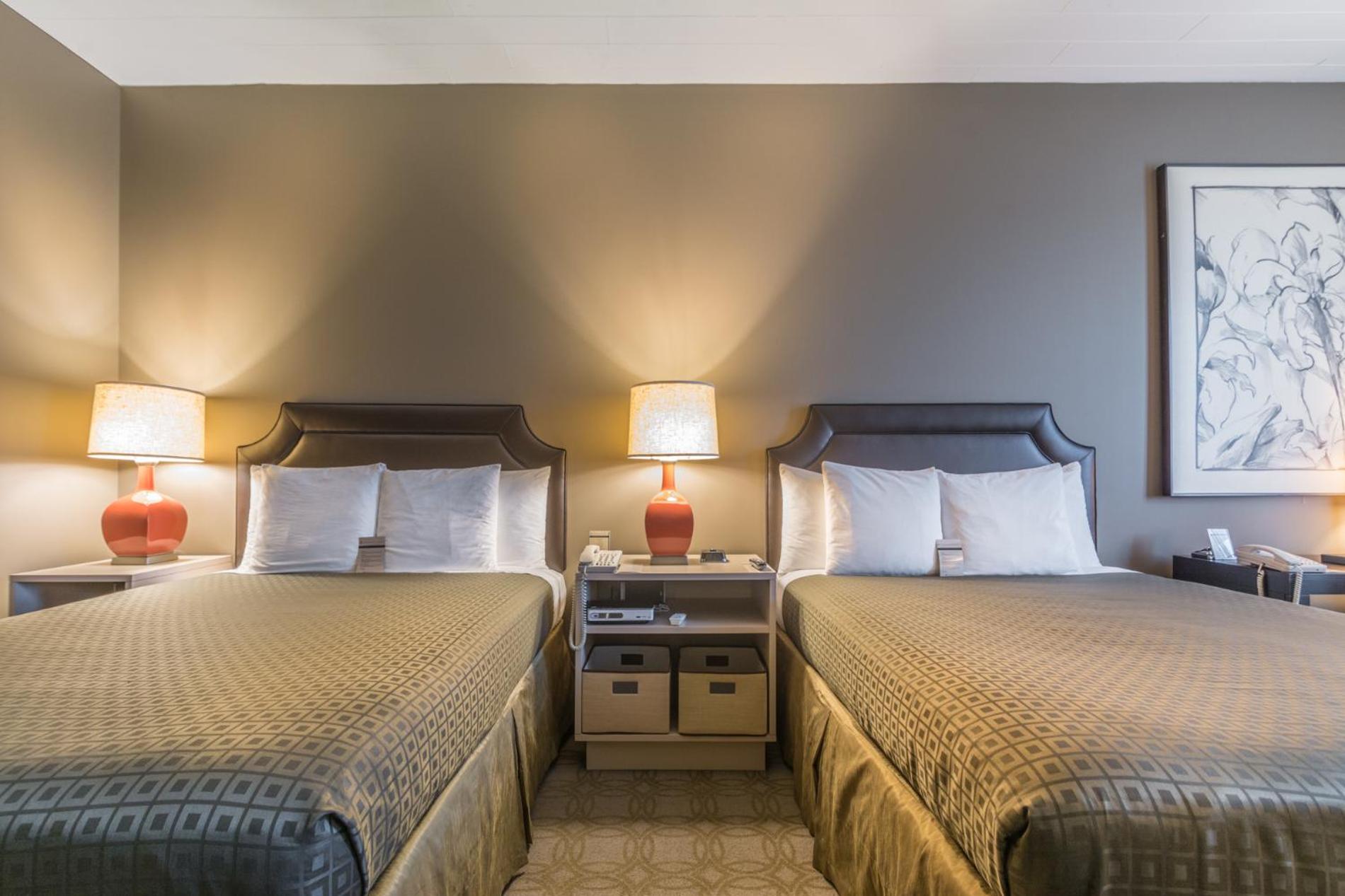 Queen Room with Two Queen Beds photo 1