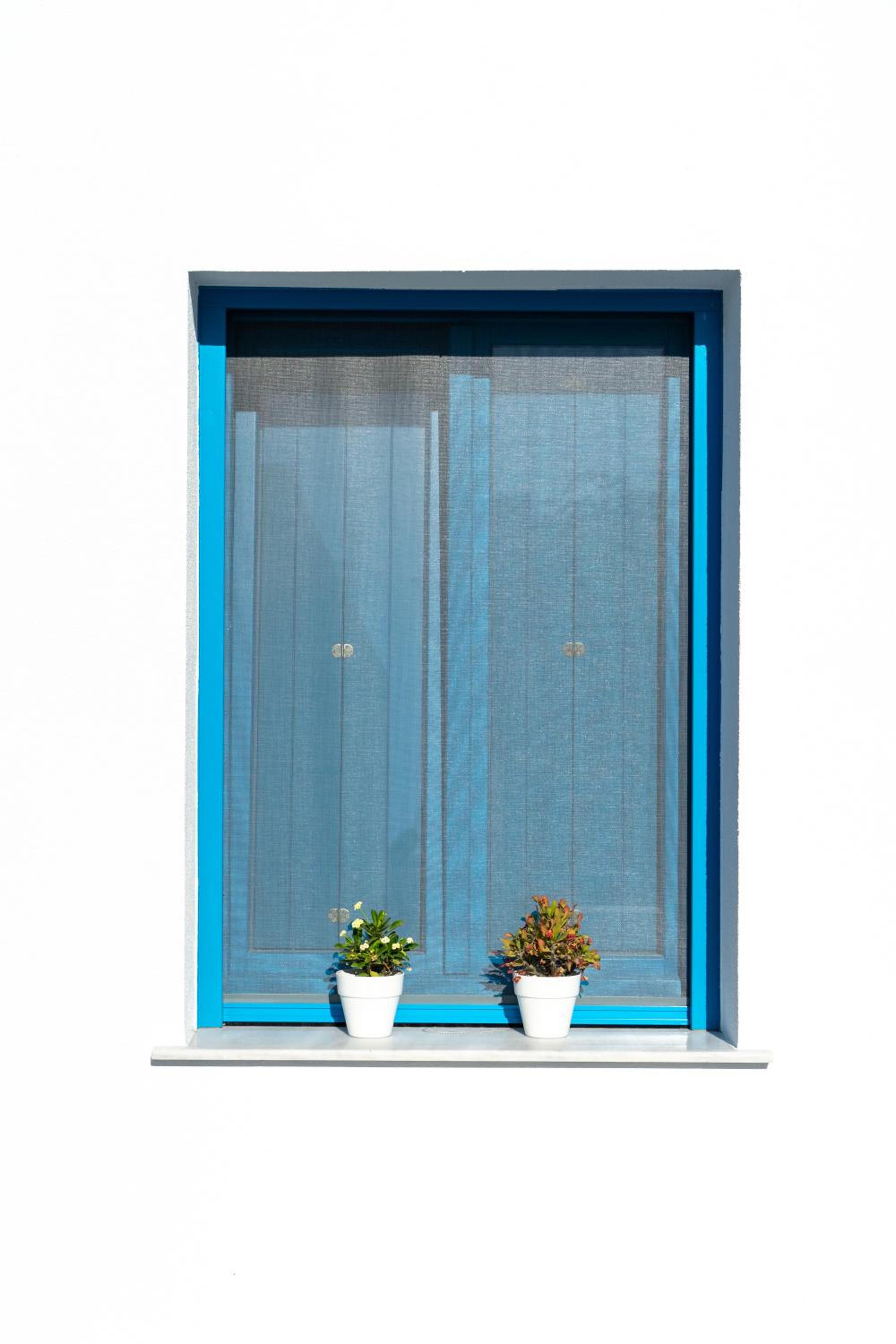 Studio with Terrace photo 3