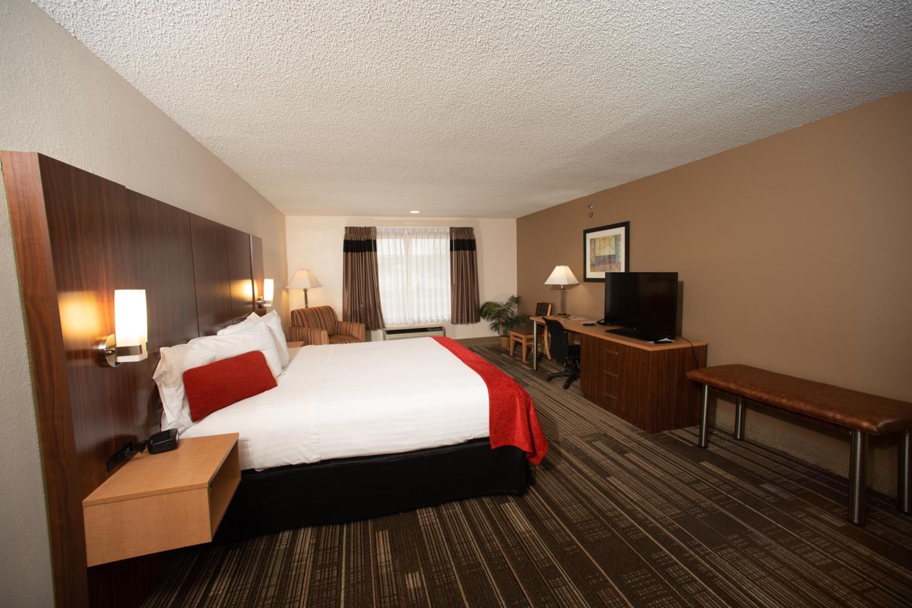 One-Bedroom Suite - Photo 1