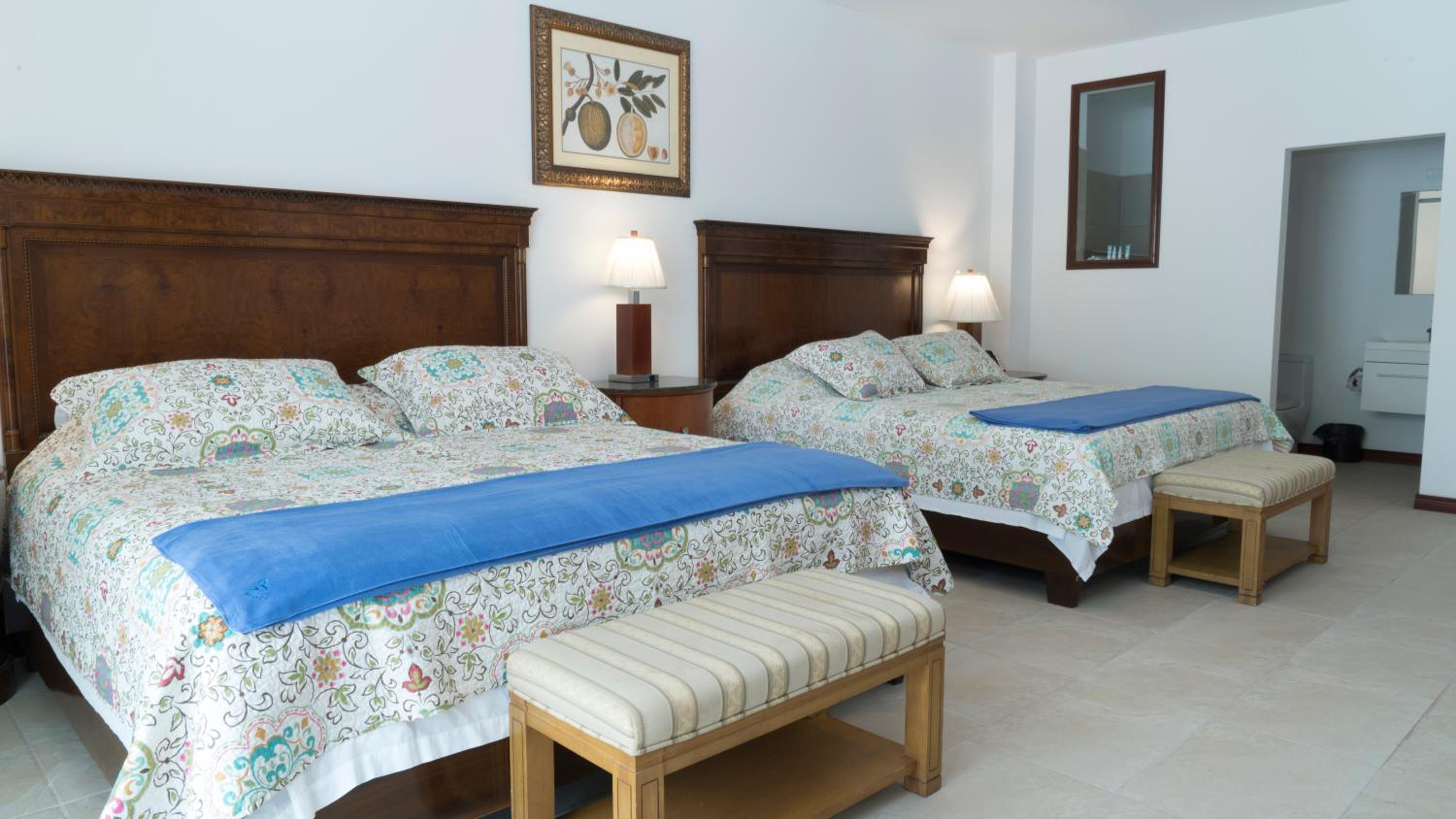 Double Room with Garden View photo 1
