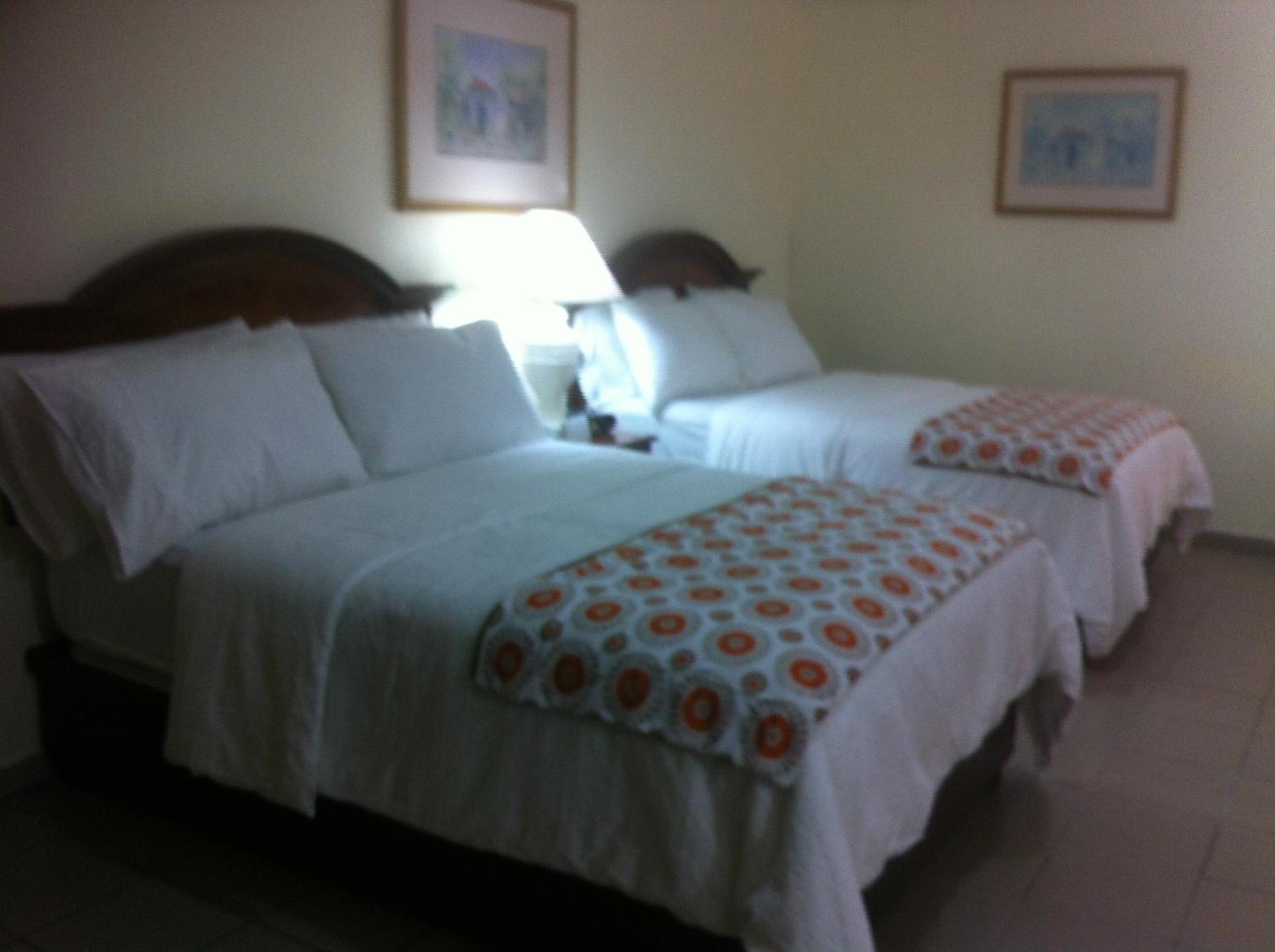 Double Room with Two Beds photo 3