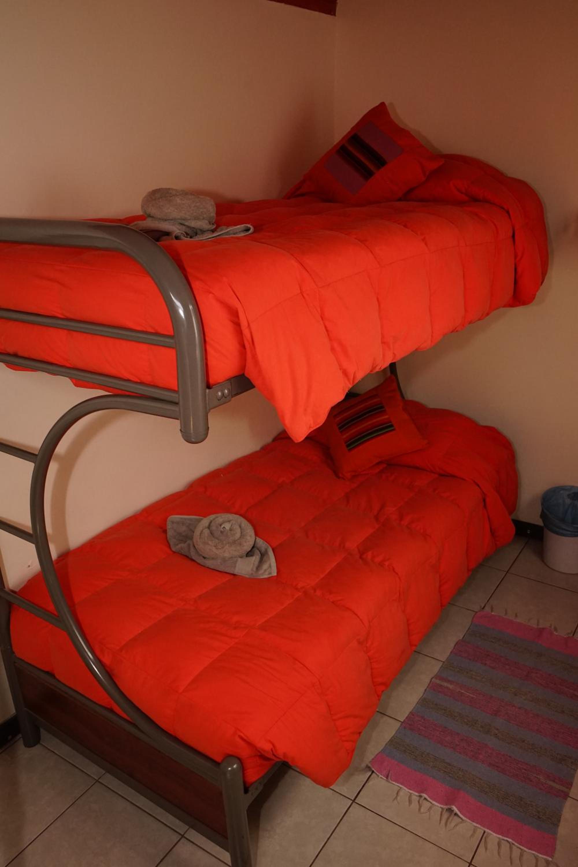 Budget Bunk Bed with Shared Bathroom photo 1