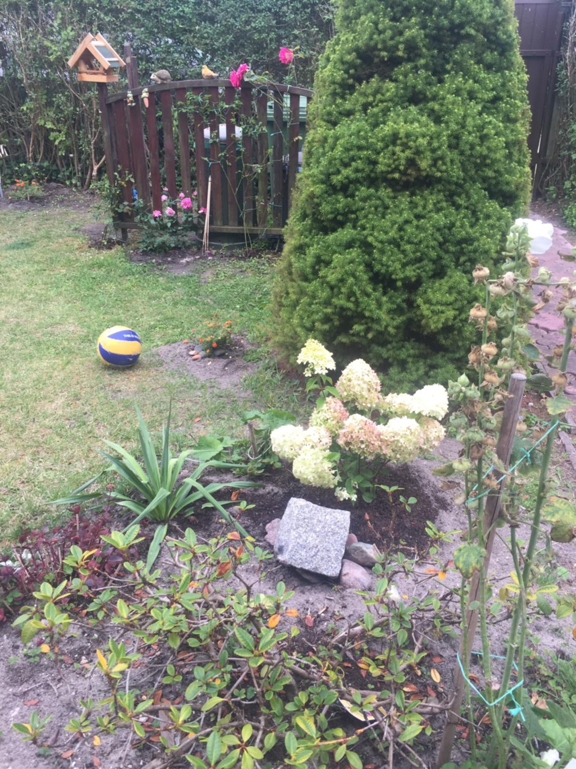 Holiday Home - Photo 41