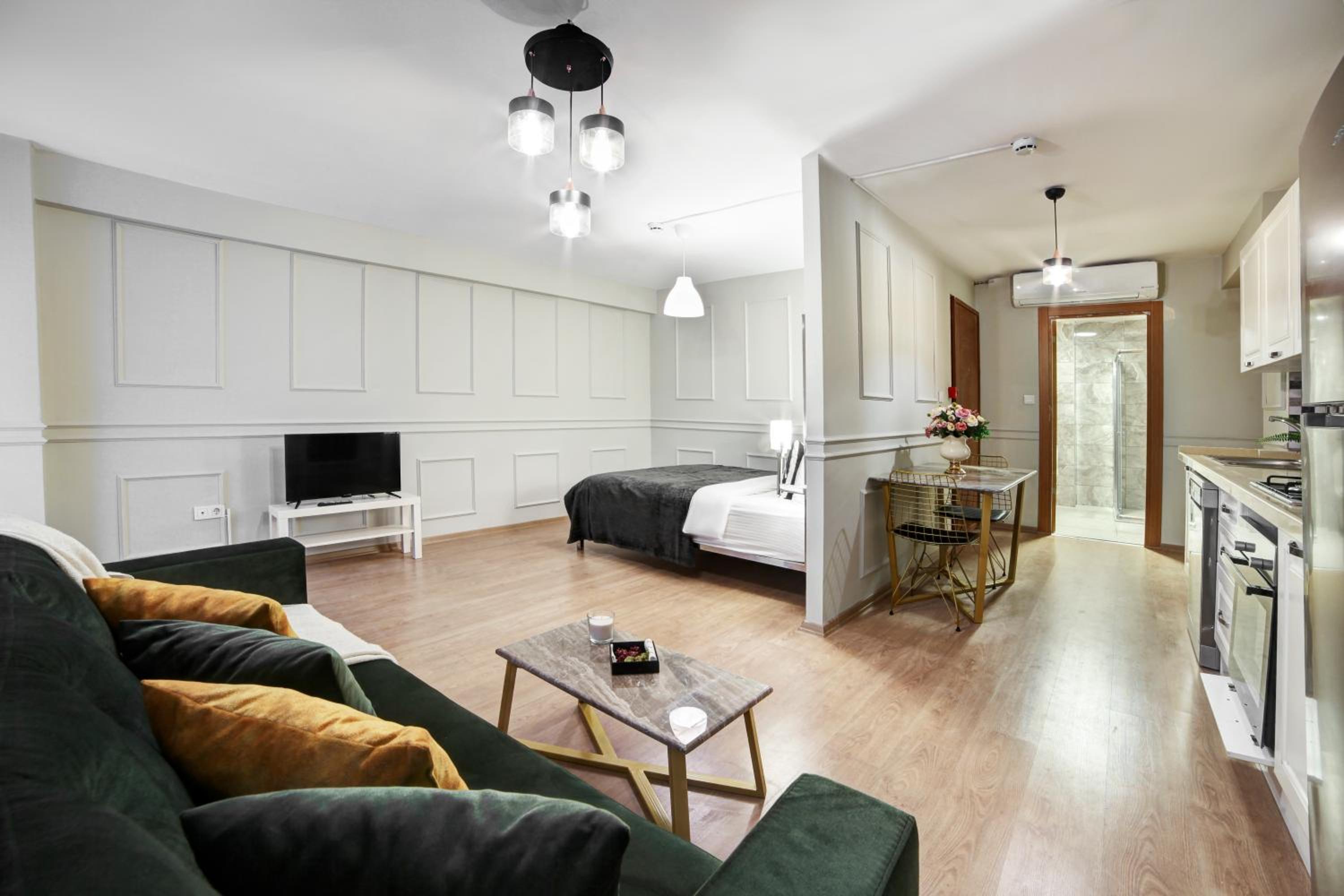 Studio Apartment photo 2