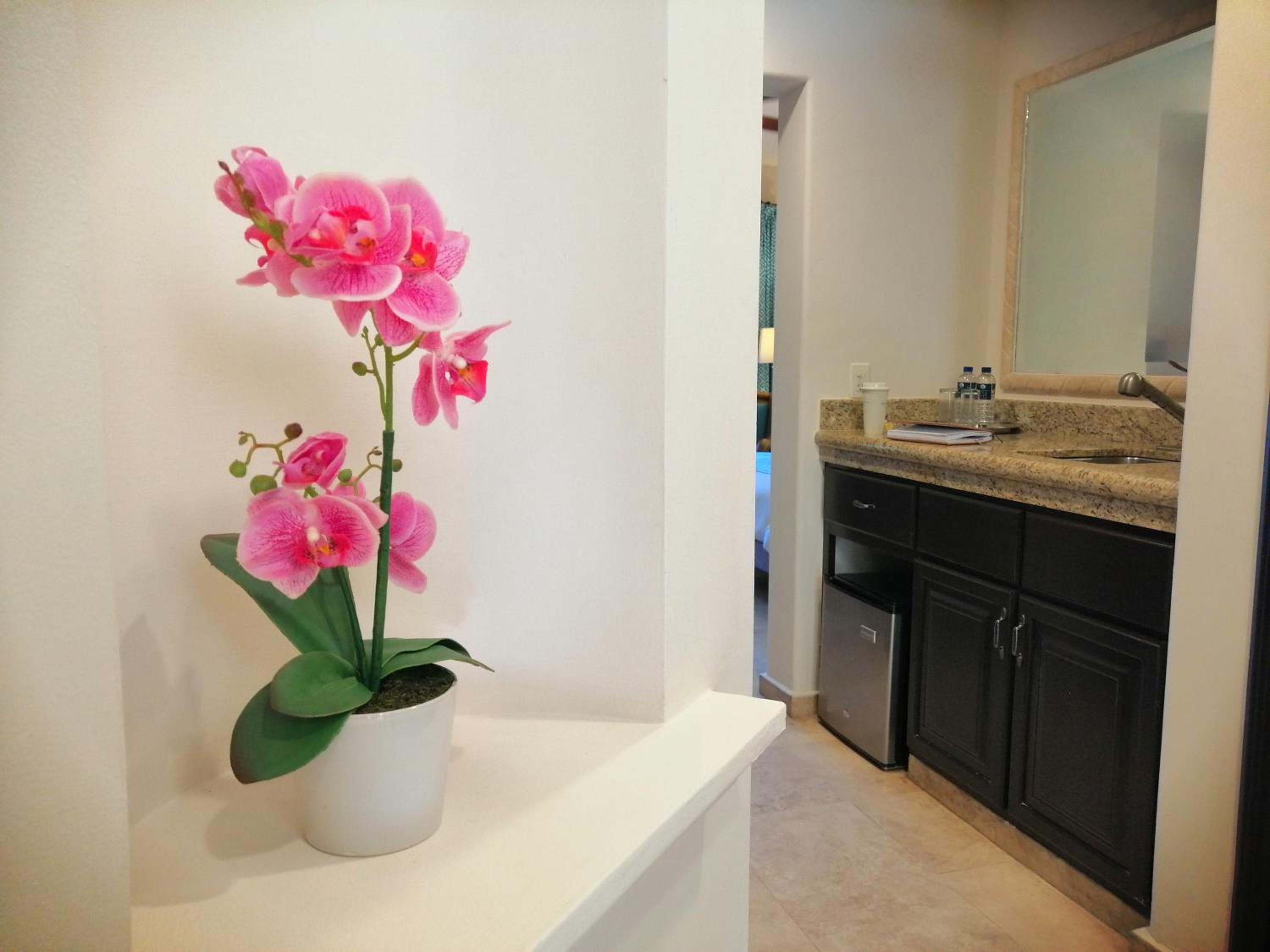 King Ocean View - Photo 5