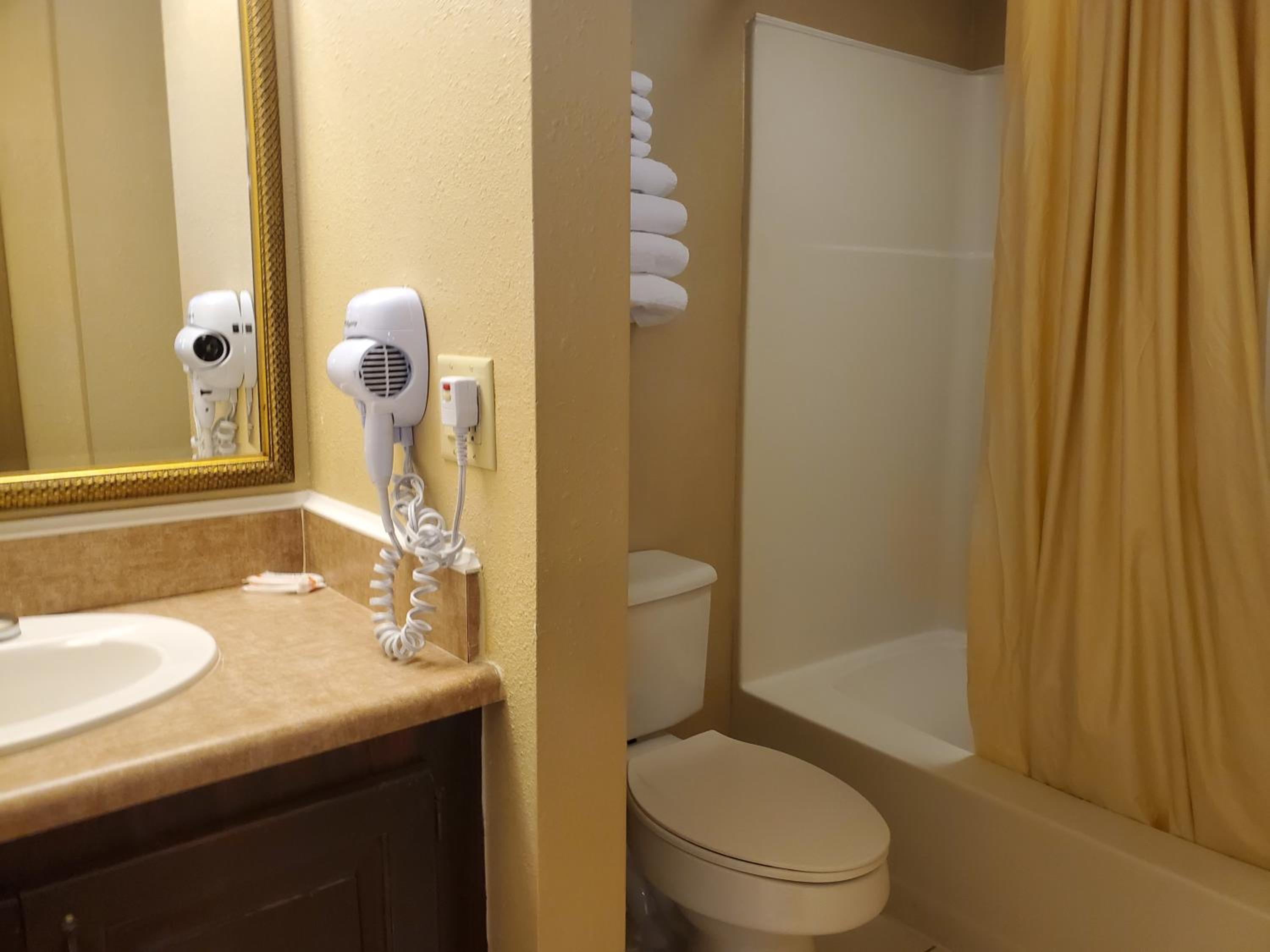 King Suite photo 2