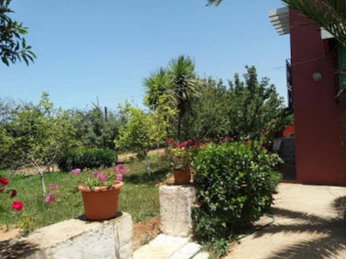 Villa - Photo 49