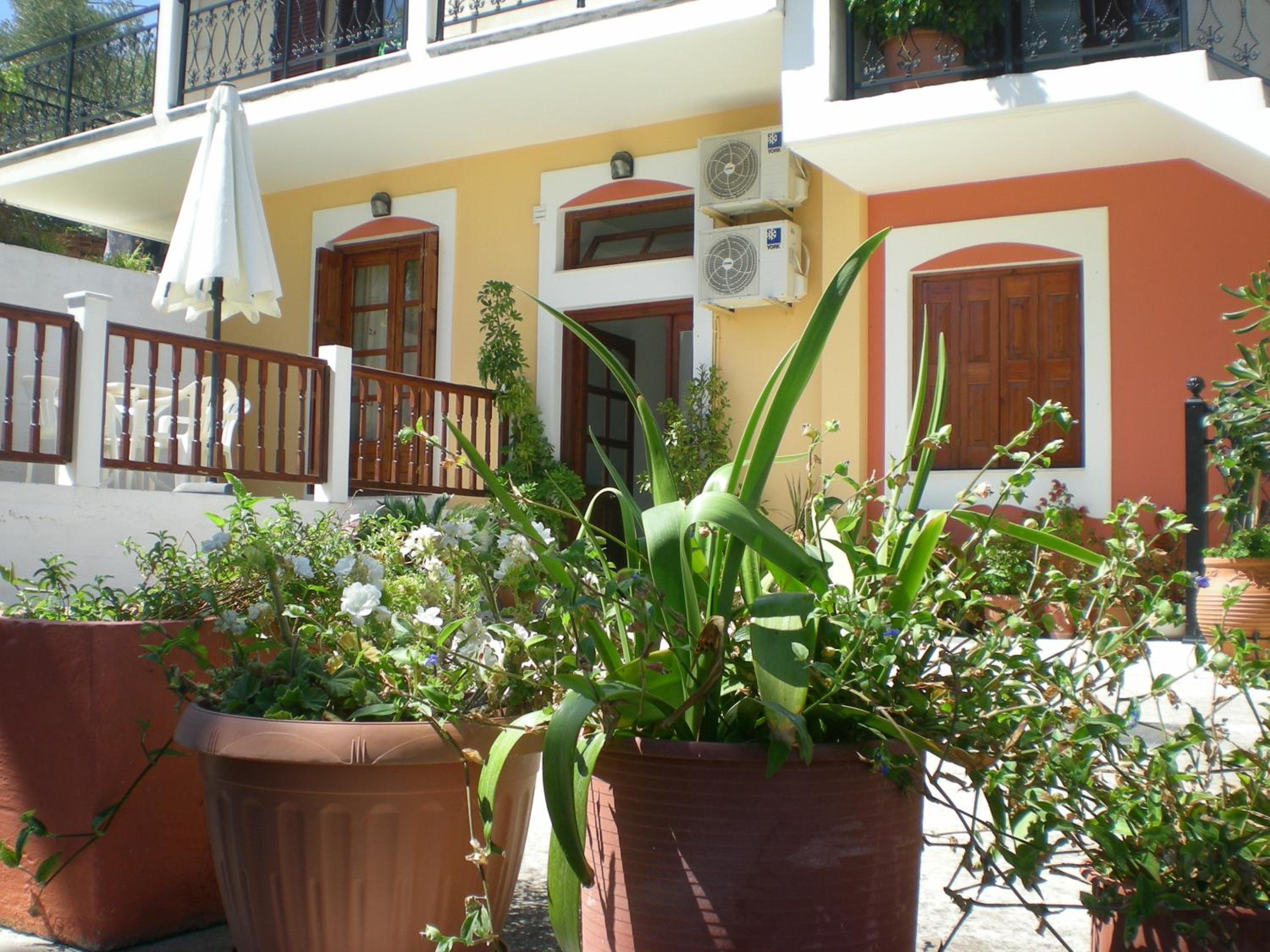 Apartment with Terrace photo 2