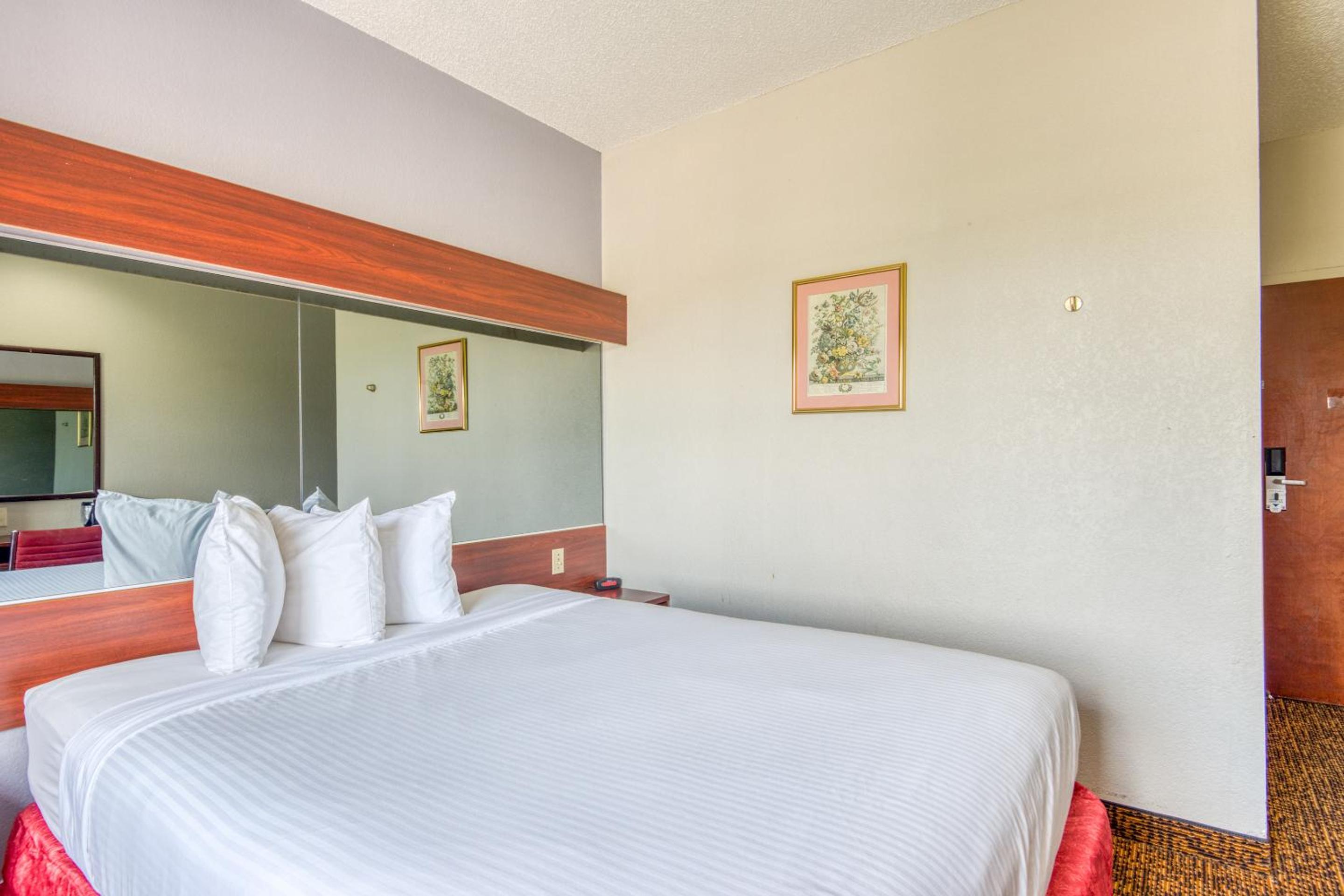 Queen Room - Photo 2