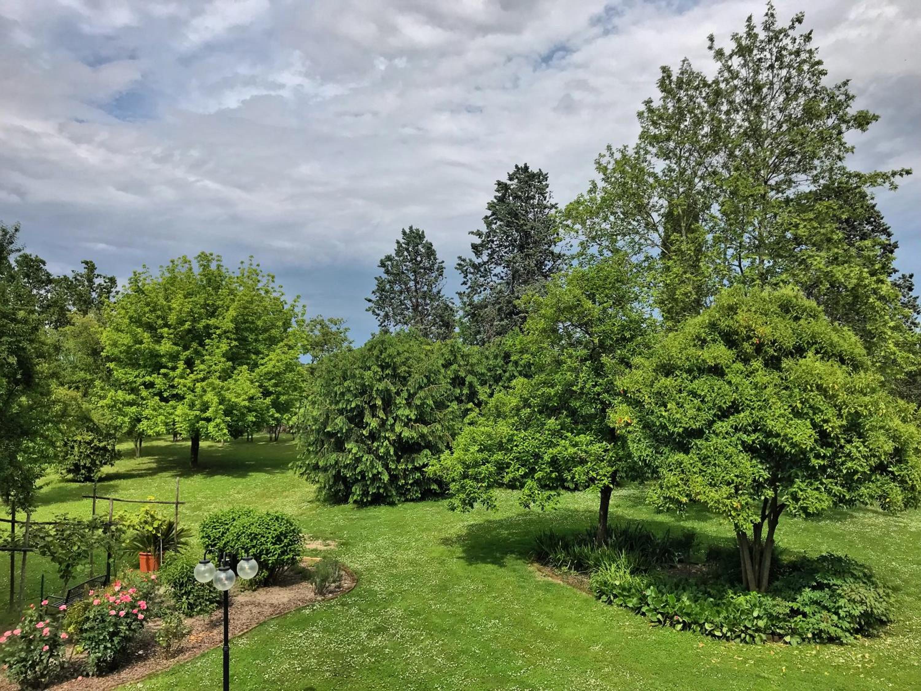 King Room with Garden View photo 3