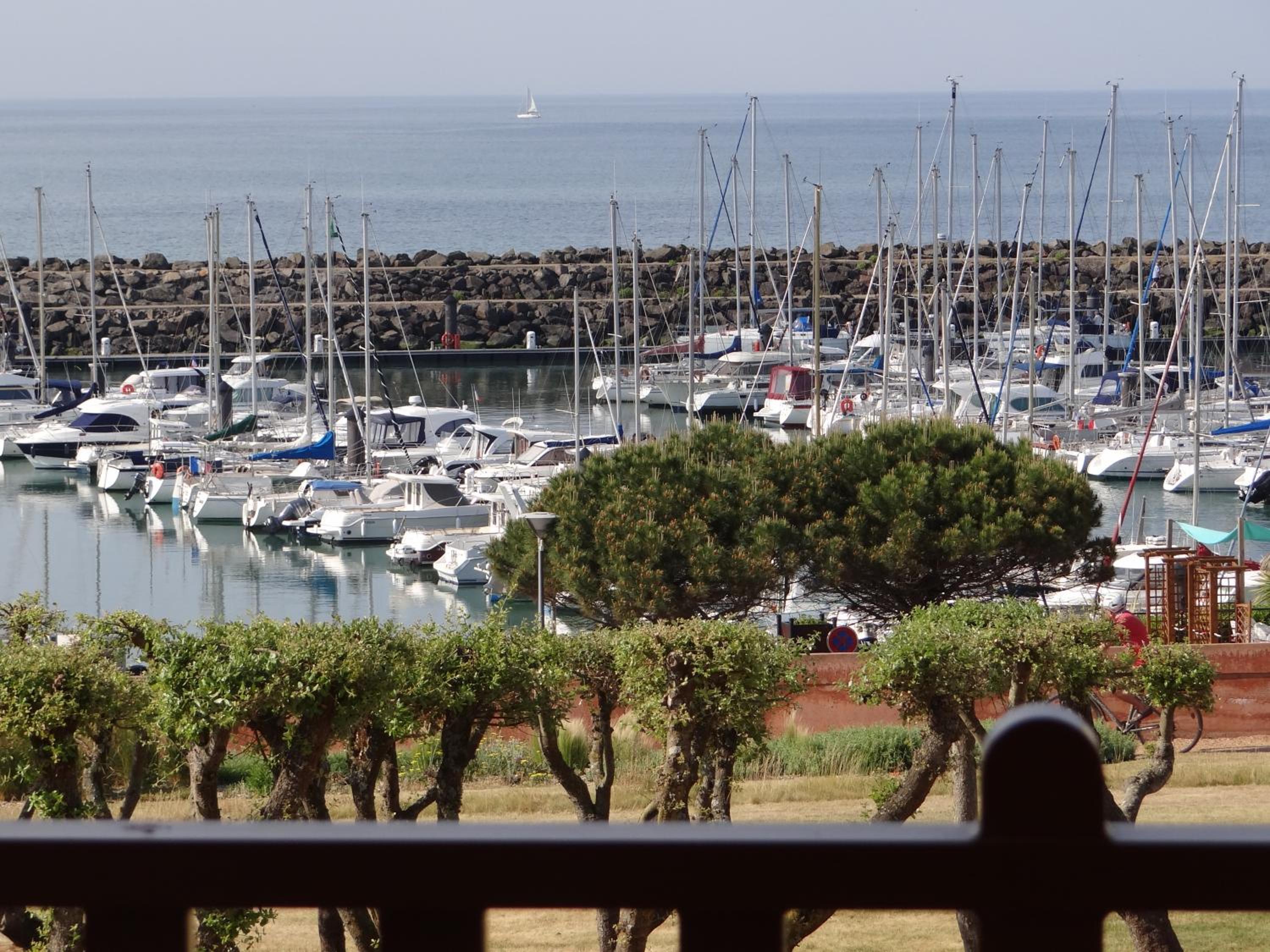 Apartment with Sea View photo 1