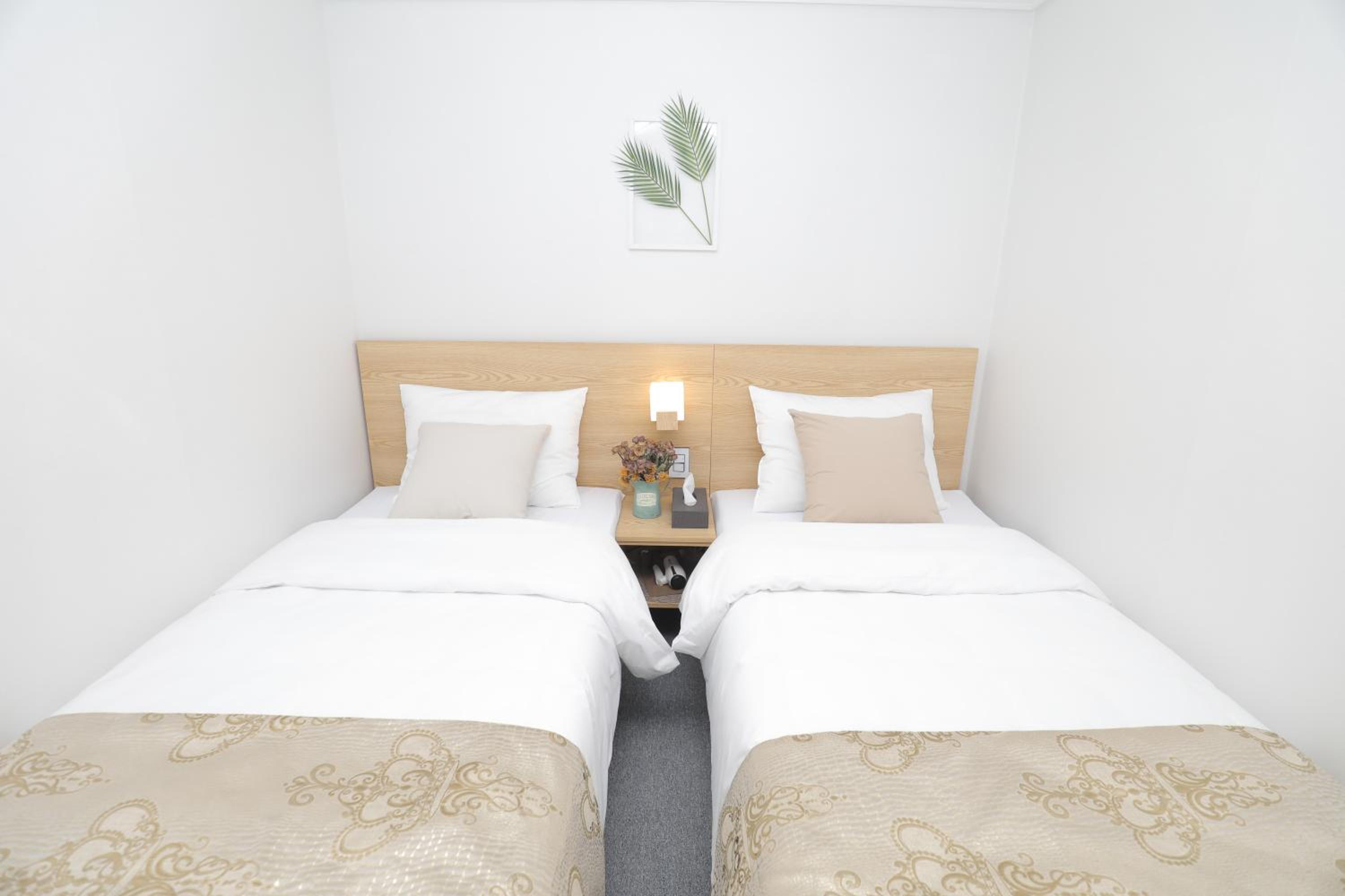 Twin Room - No Window - Photo 2