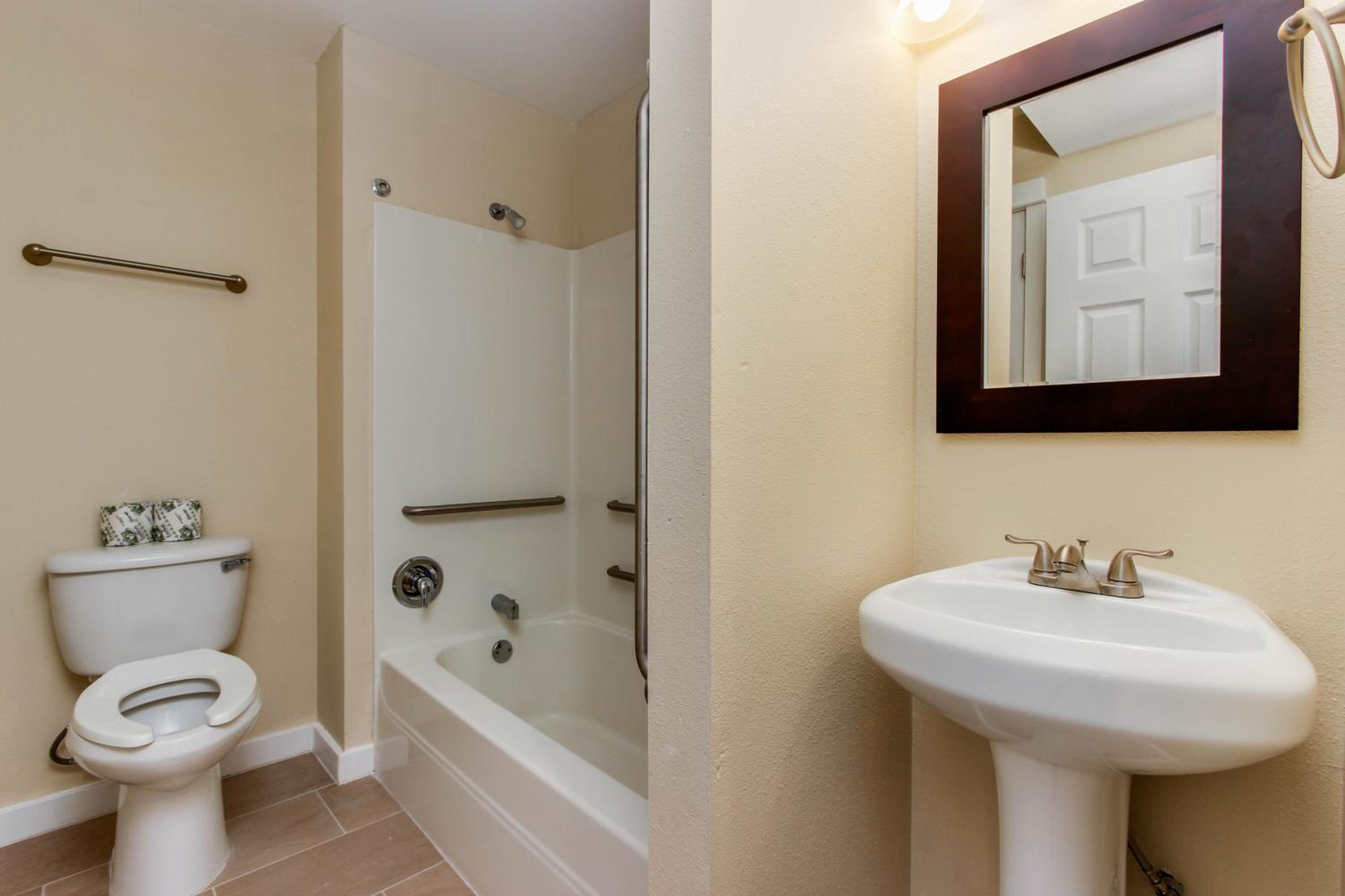 One Bedroom Apartment photo 3