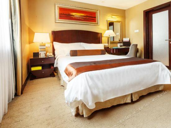 Comfort Single Room
