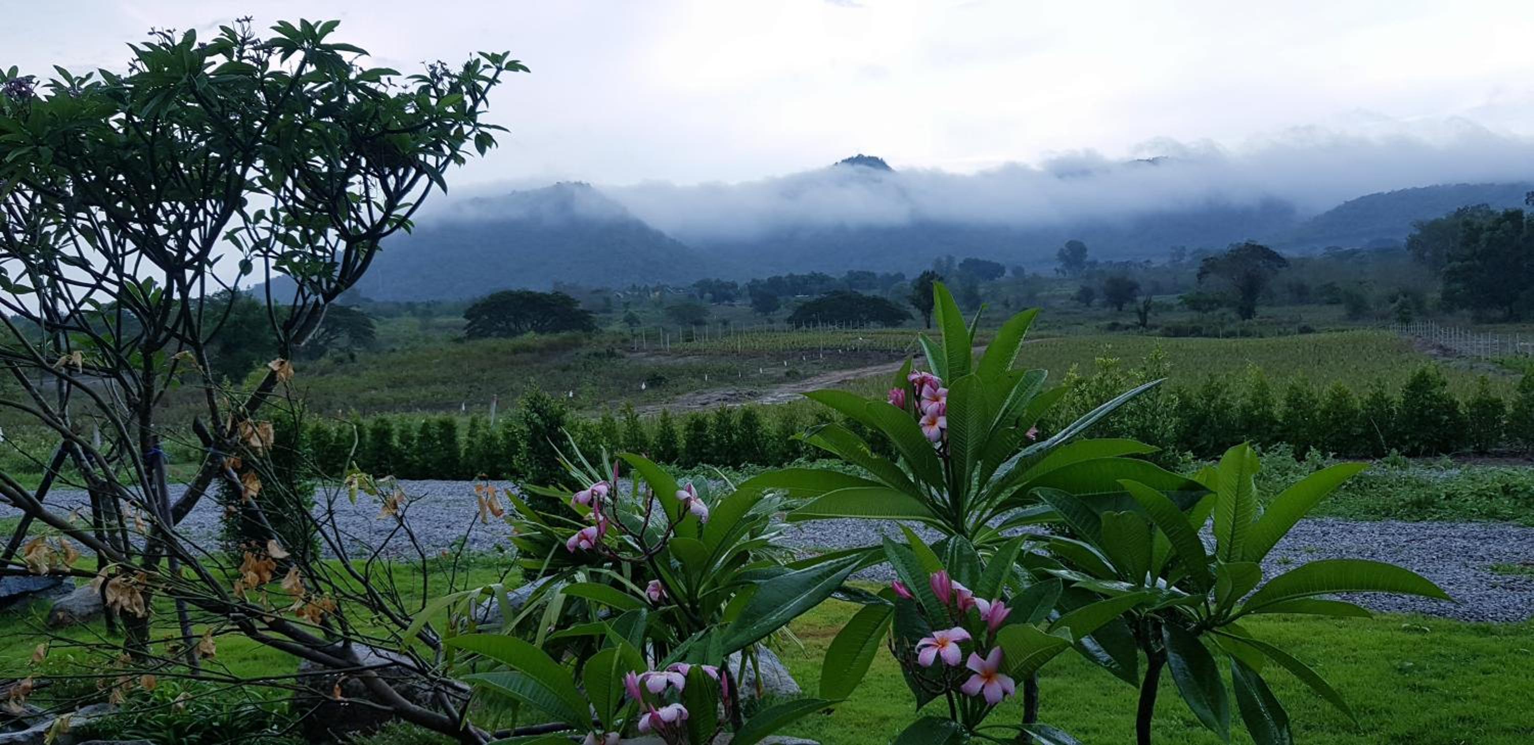 Double Room with Mountain View - Photo 7