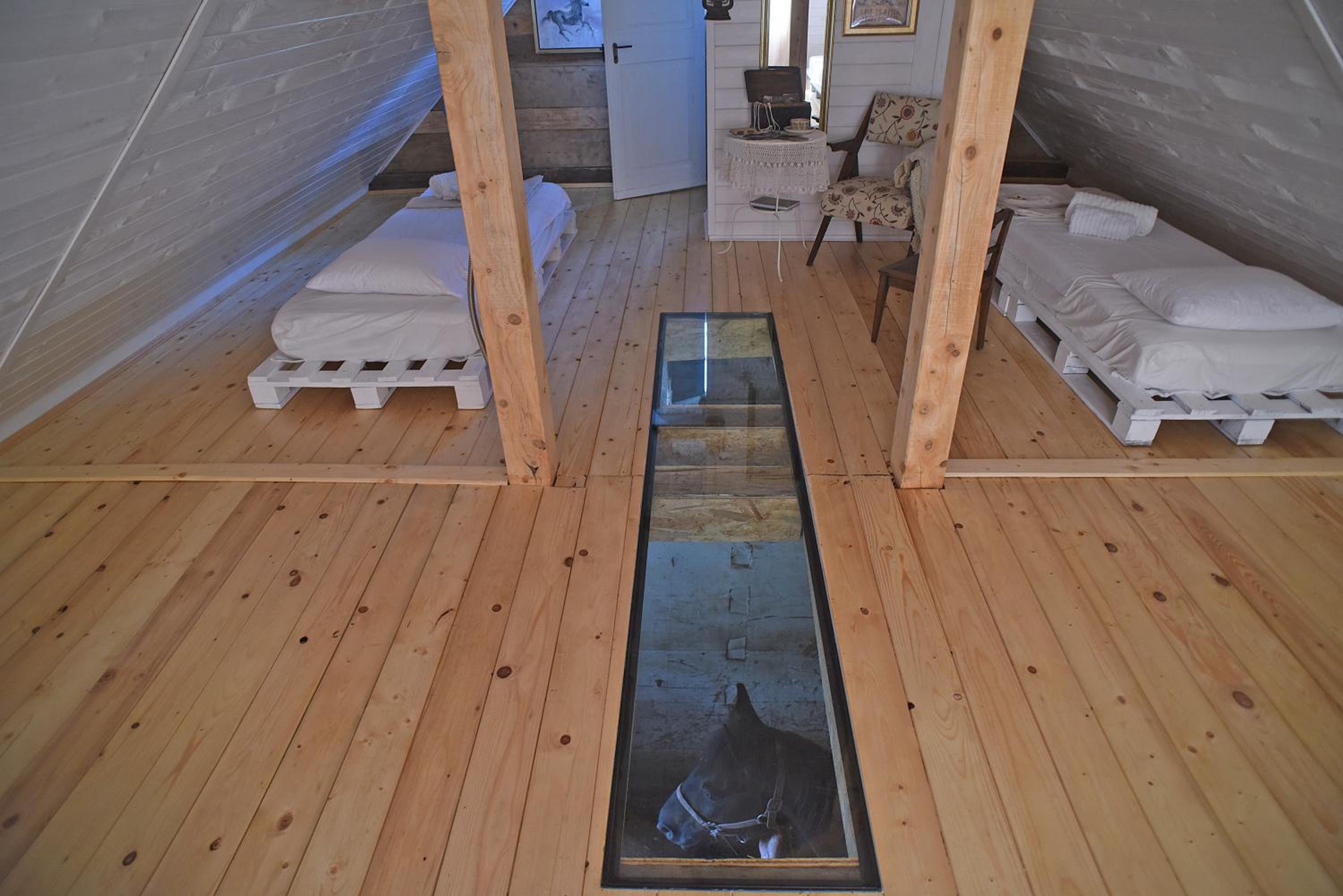 Quadruple Room - Photo 21