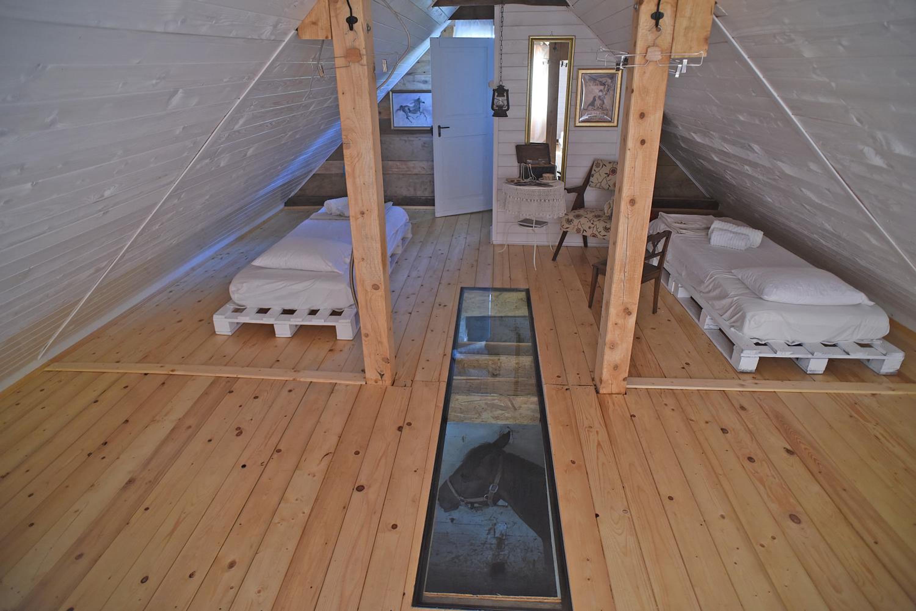 Quadruple Room - Photo 19