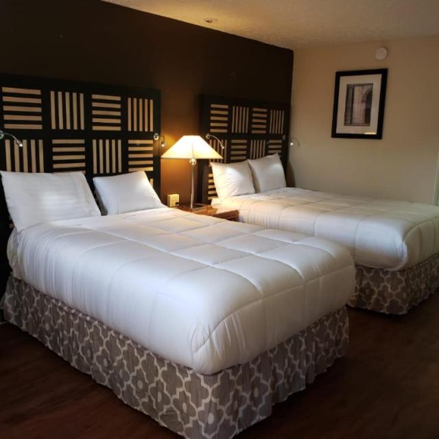 Deluxe Double Room with Two Double Beds - Photo 2