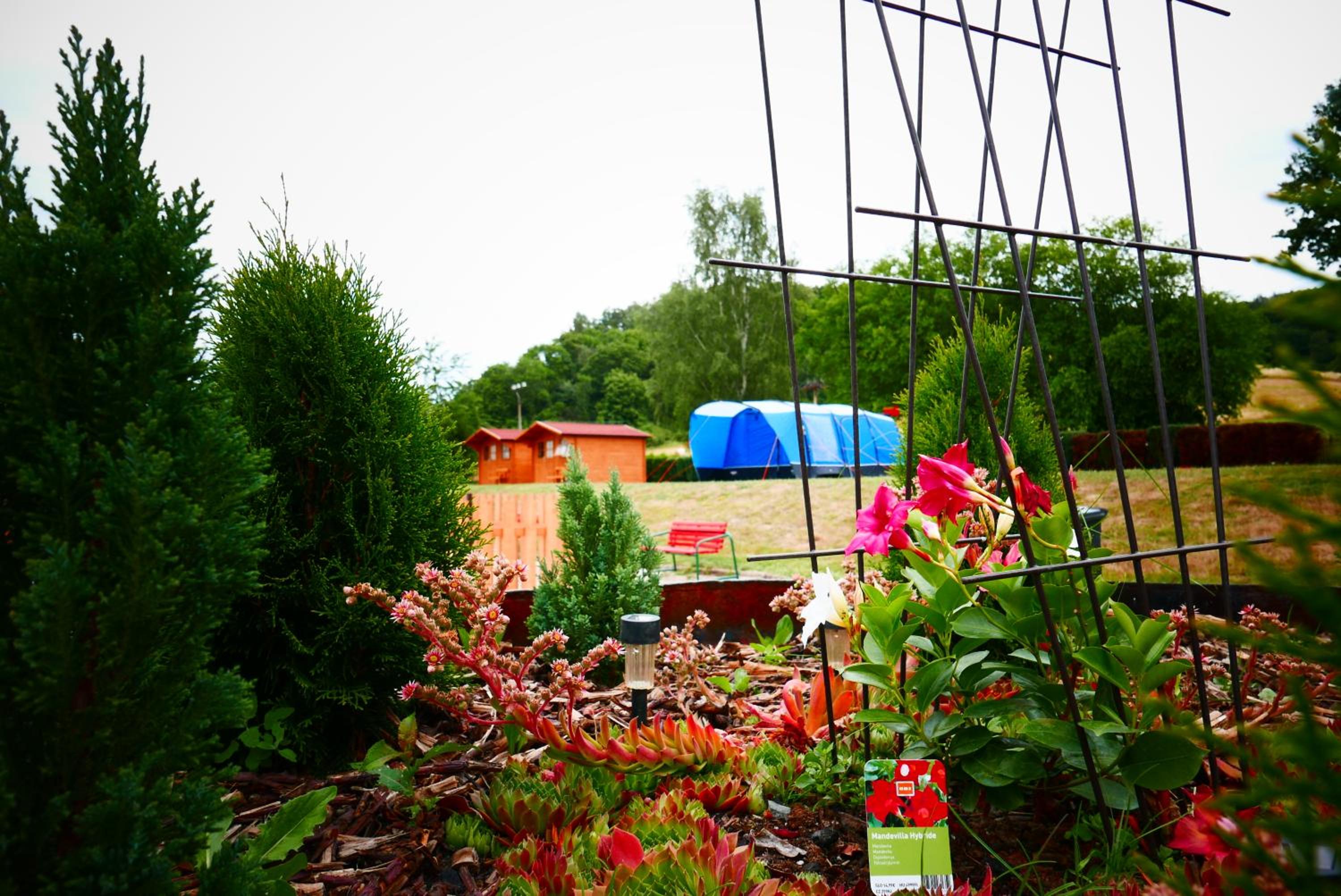 Cottage - Photo 1