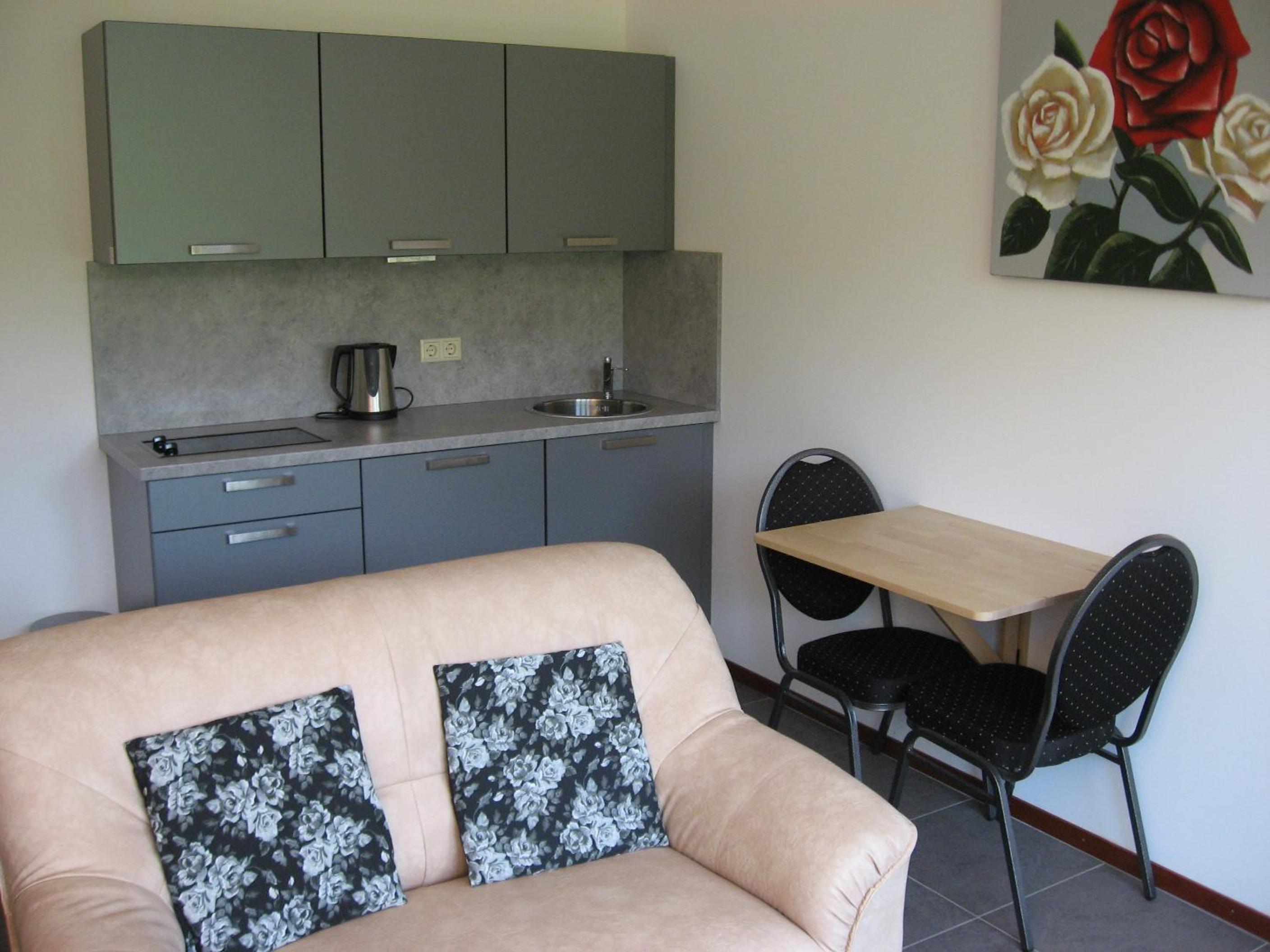 One-Bedroom Apartment photo 3
