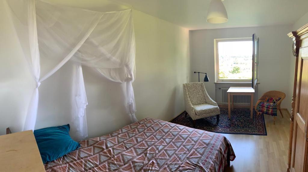 Single Room with Mountain View
