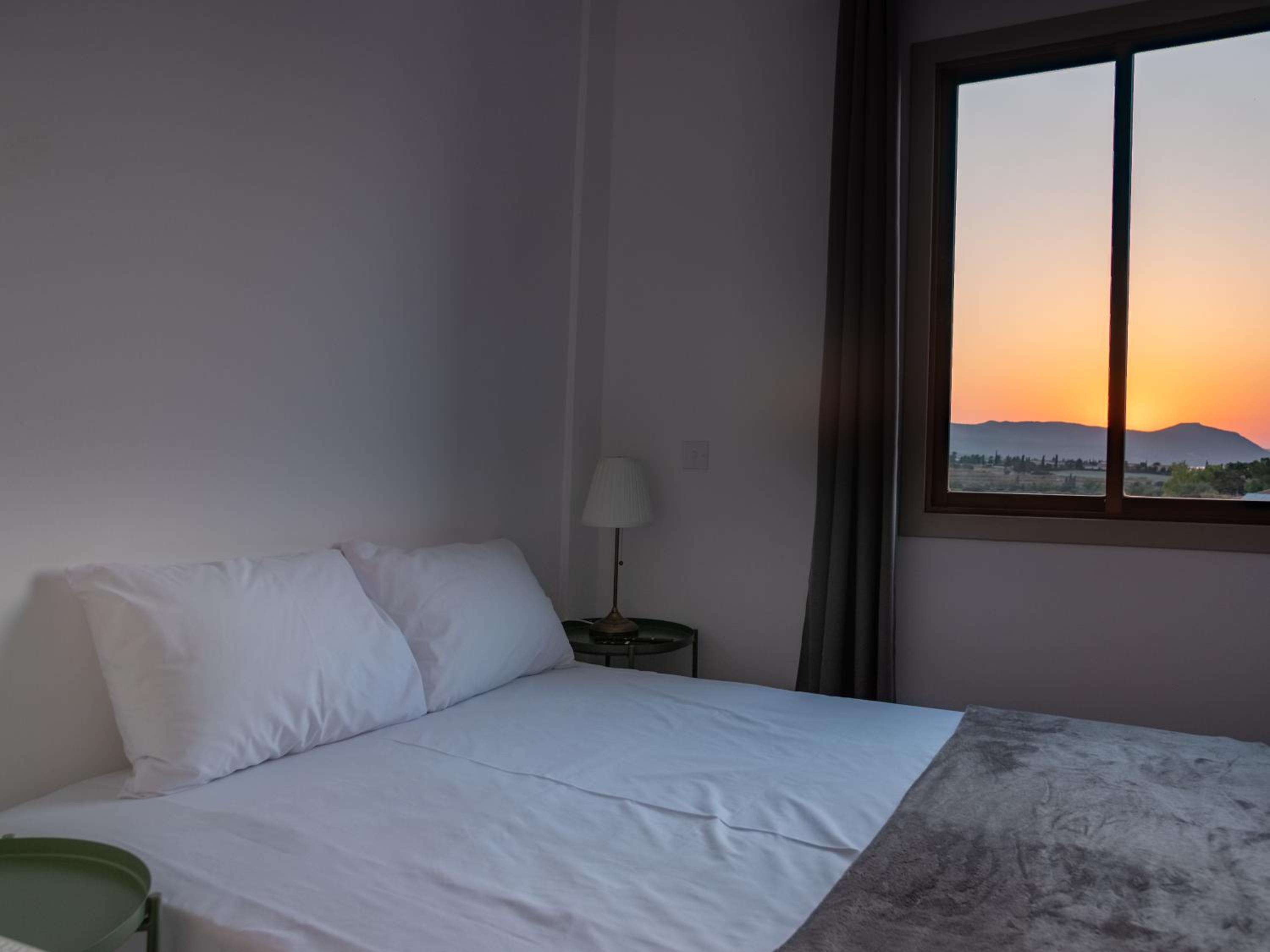 Apartment - Photo 4