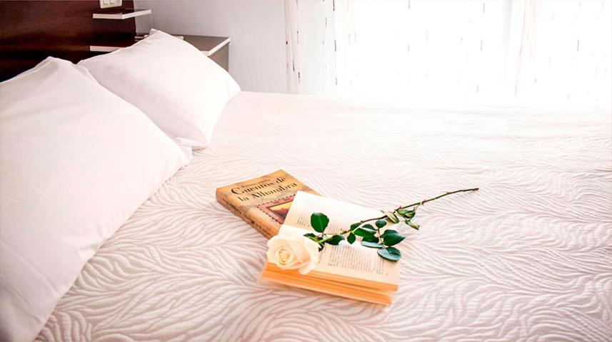 Double or Twin Room - Photo 8